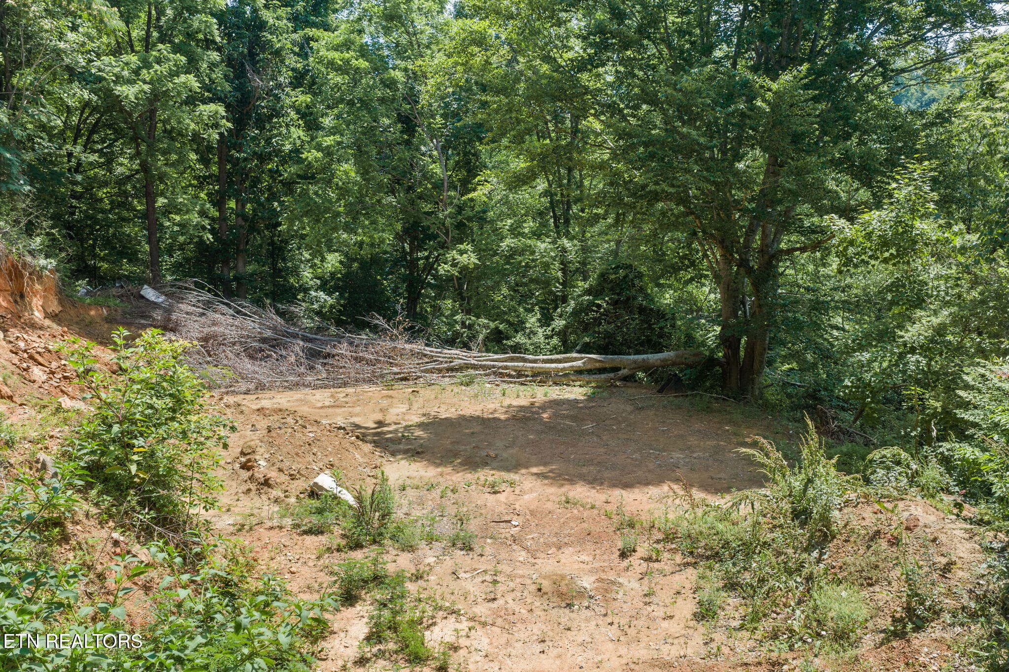 4-web-or-mls-Ogle-18 - 520 Verless Ogle Rd, Sevierville, TN 37876