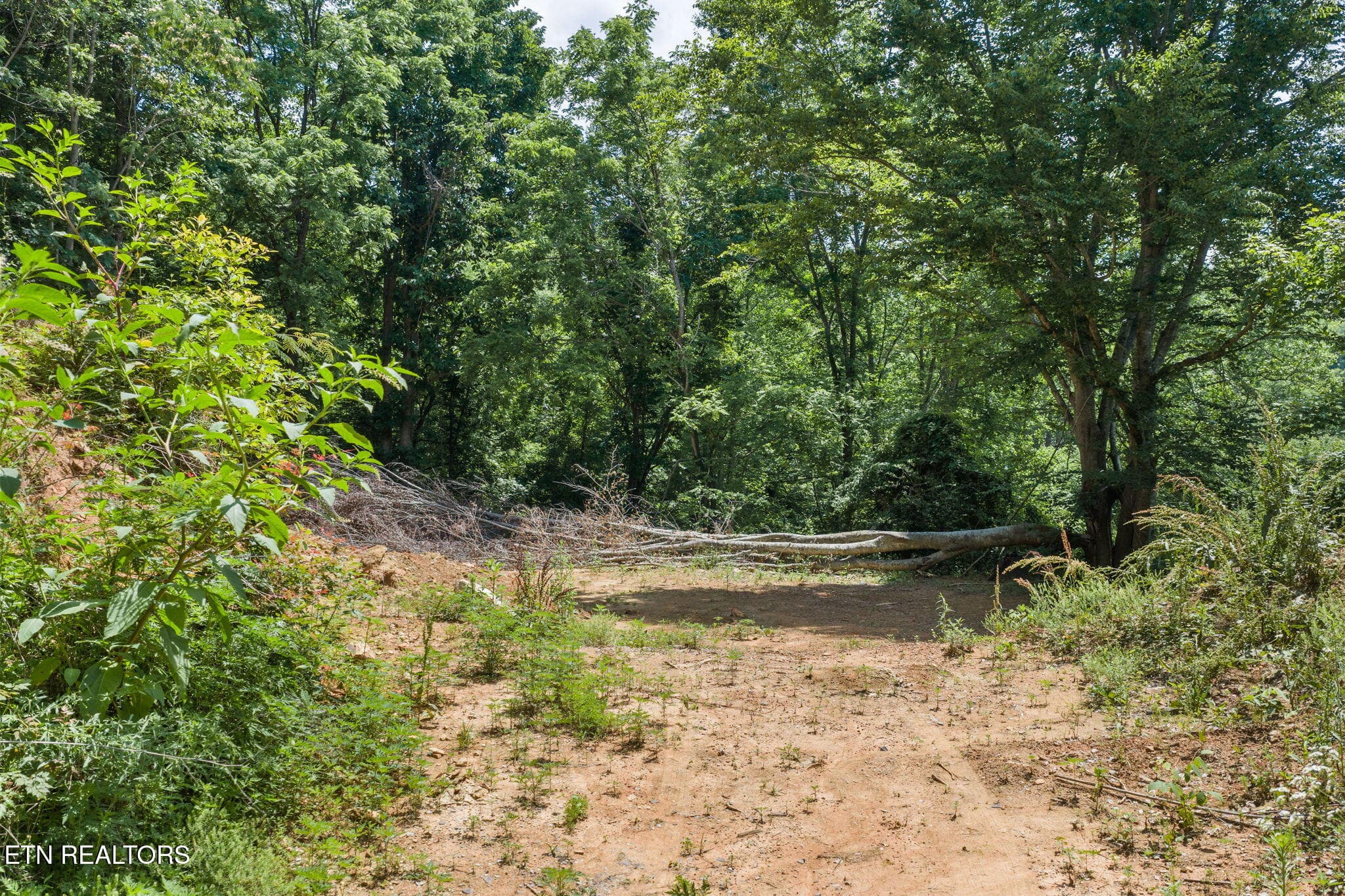 1-web-or-mls-Ogle-3 - 520 Verless Ogle Rd, Sevierville, TN 37876