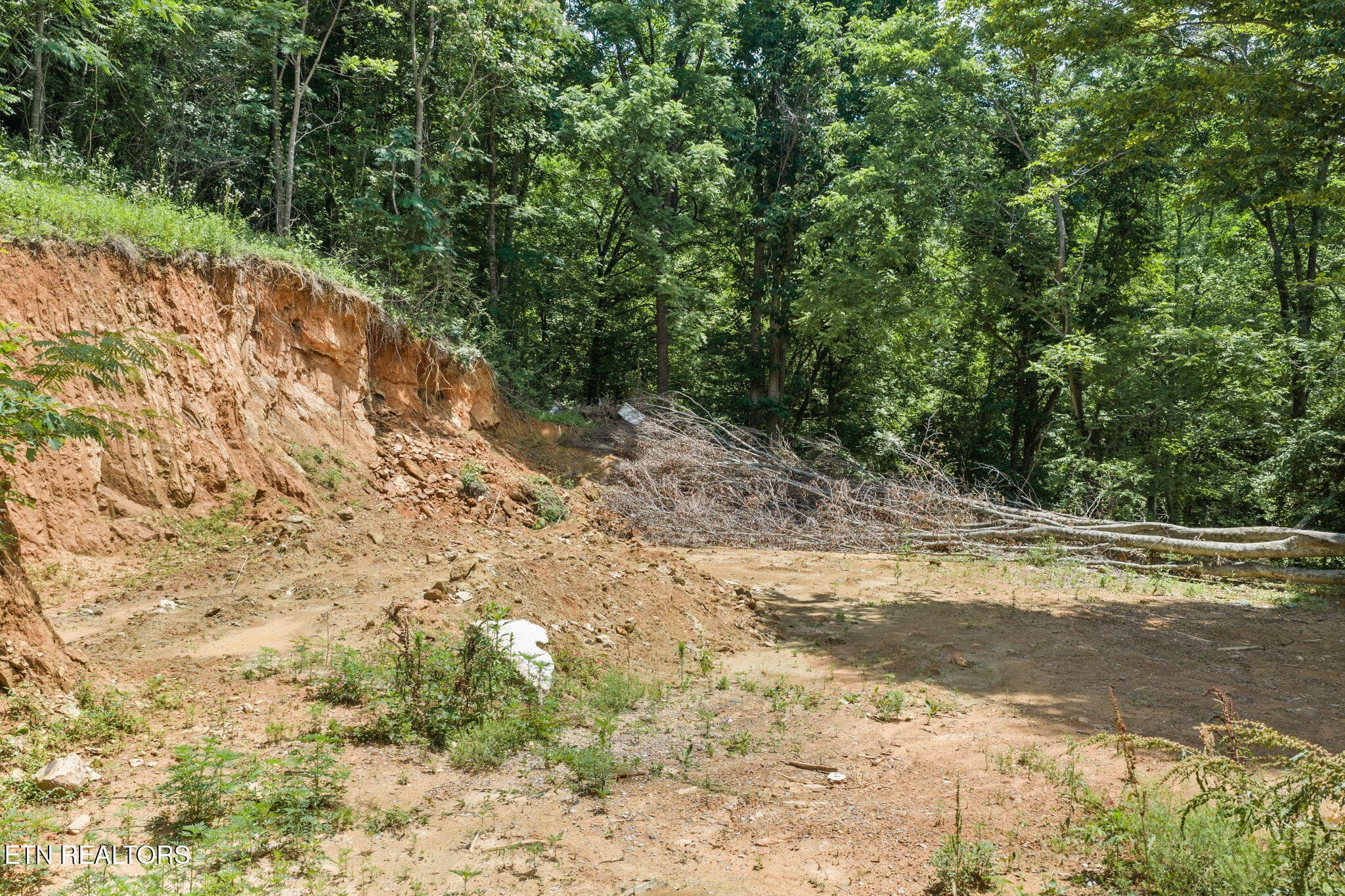 3-web-or-mls-Ogle-13 - 520 Verless Ogle Rd, Sevierville, TN 37876