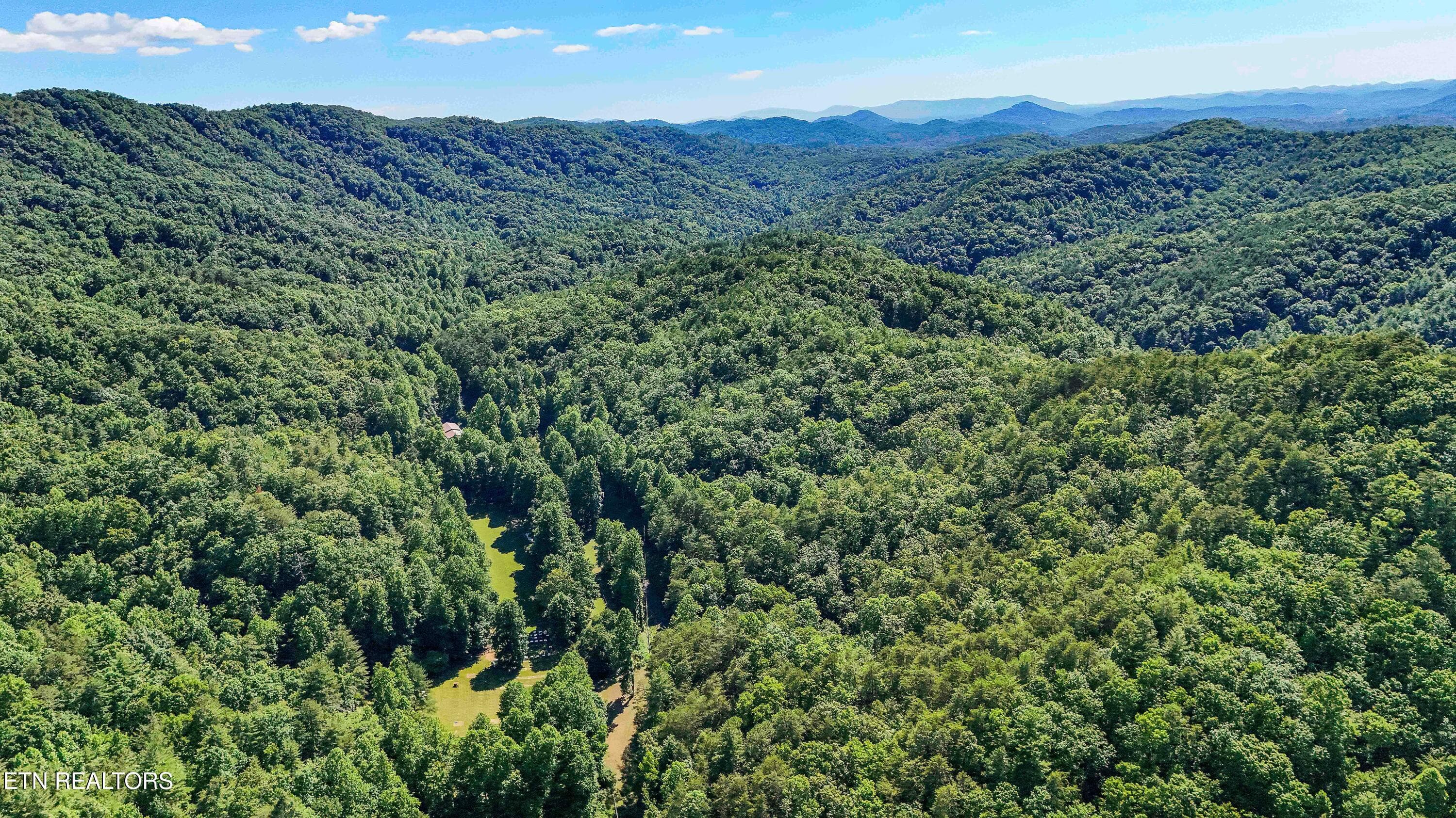 DJI_20260604165520_0021_D - 1151 Chestnut Valley Rd, Vonore, TN 37885