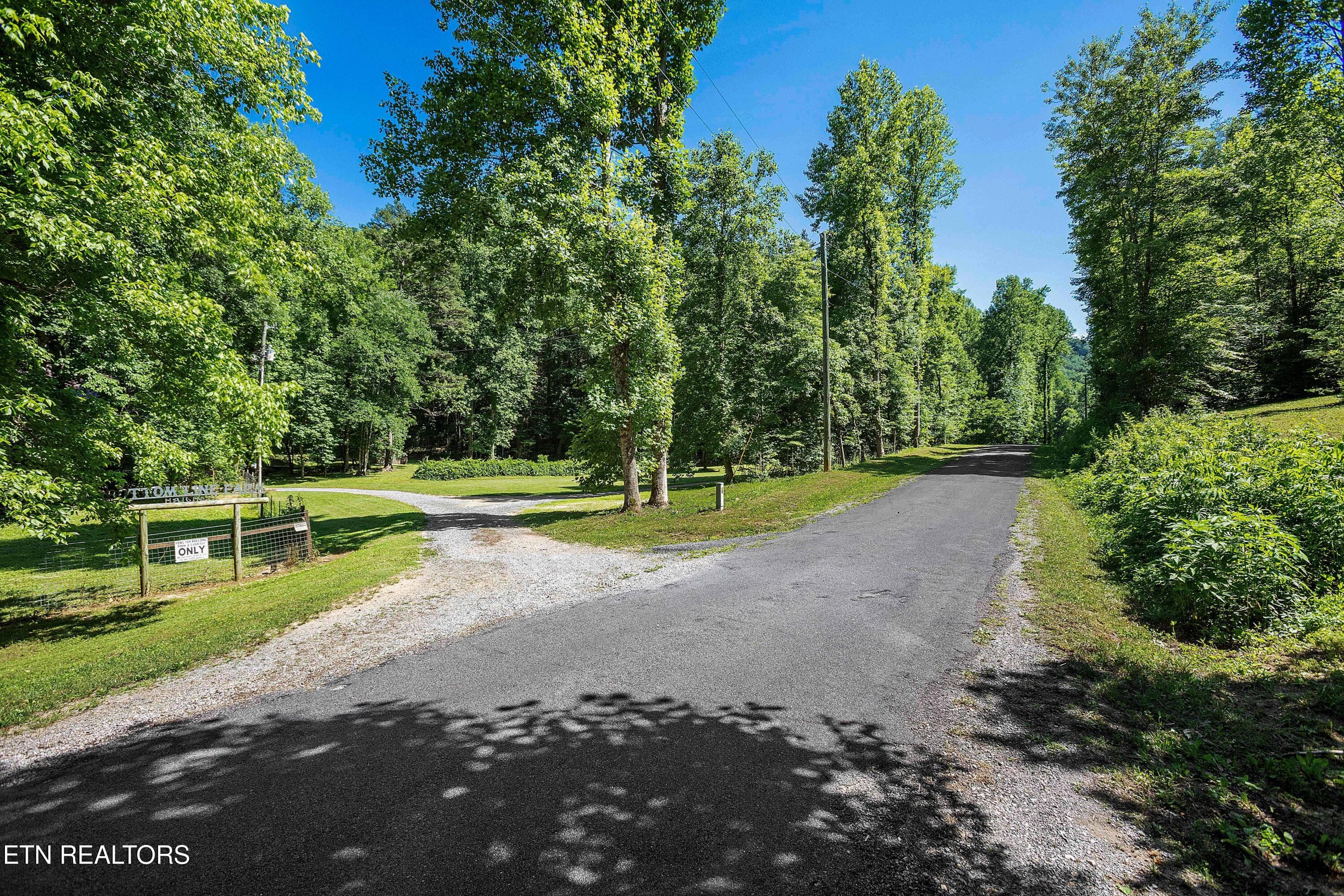 IMG_6140 - 1151 Chestnut Valley Rd, Vonore, TN 37885