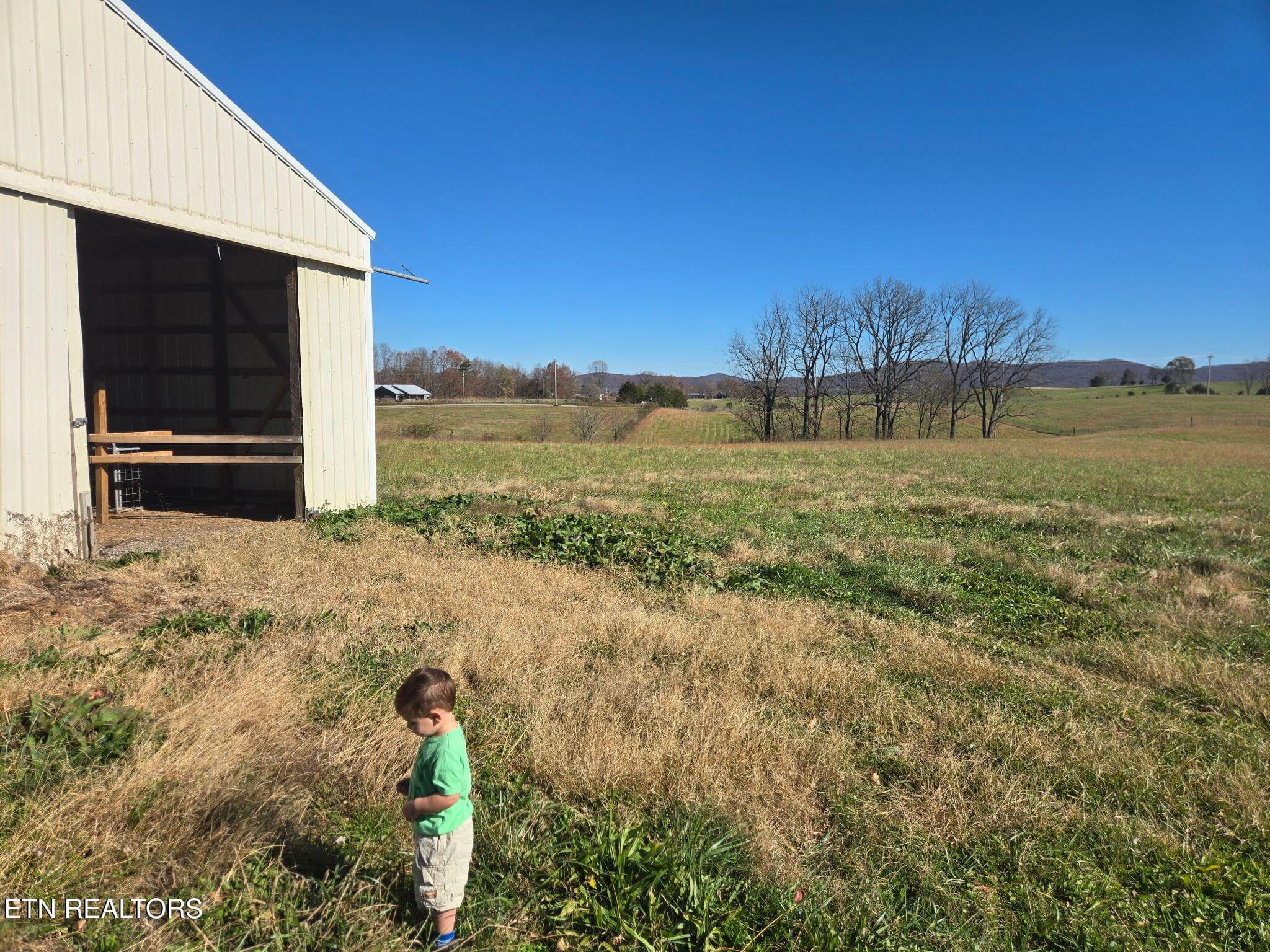 DW 3 - Dogwalk Rd, Alpine, TN 38543