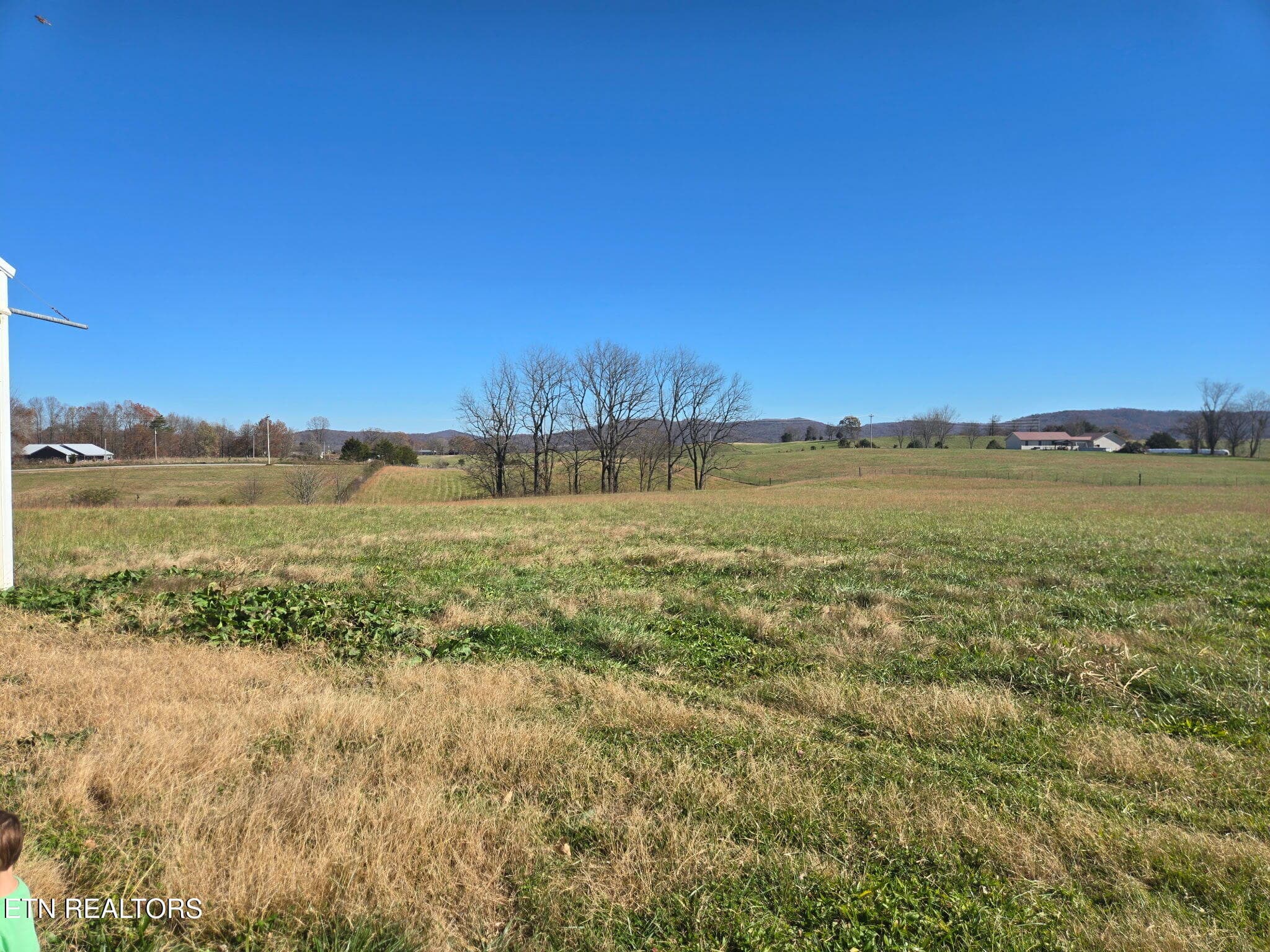 DW 1 - Dogwalk Rd, Alpine, TN 38543