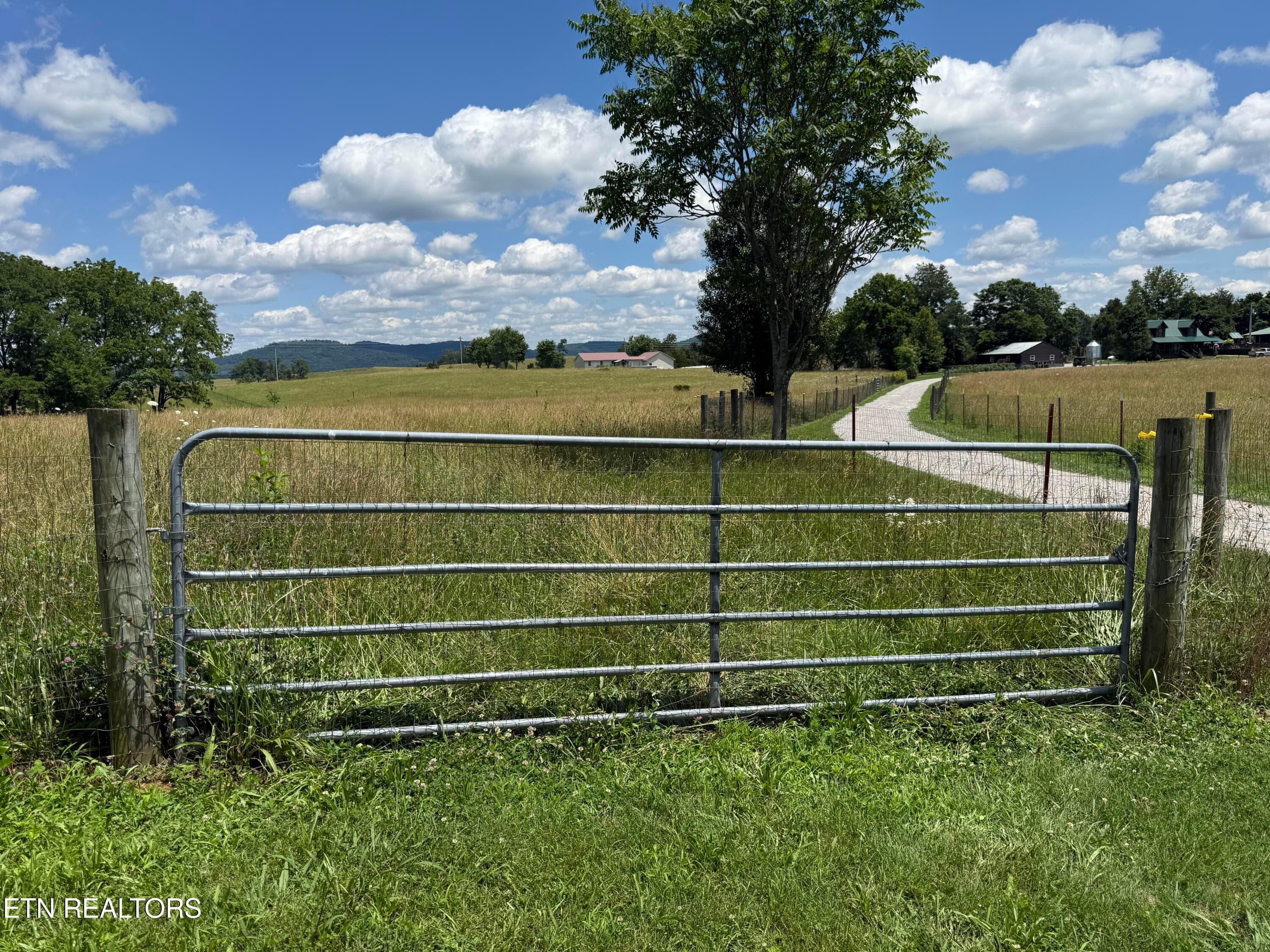 DW 6 - Dogwalk Rd, Alpine, TN 38543