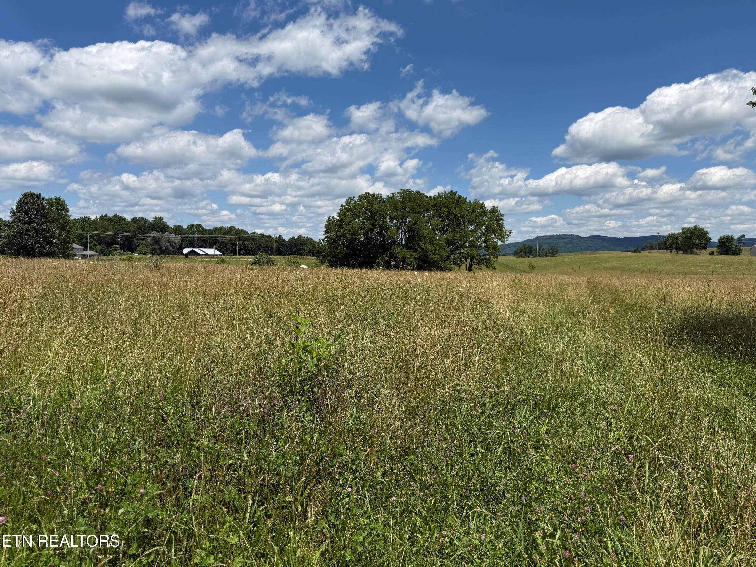 DW 8 - Dogwalk Rd, Alpine, TN 38543
