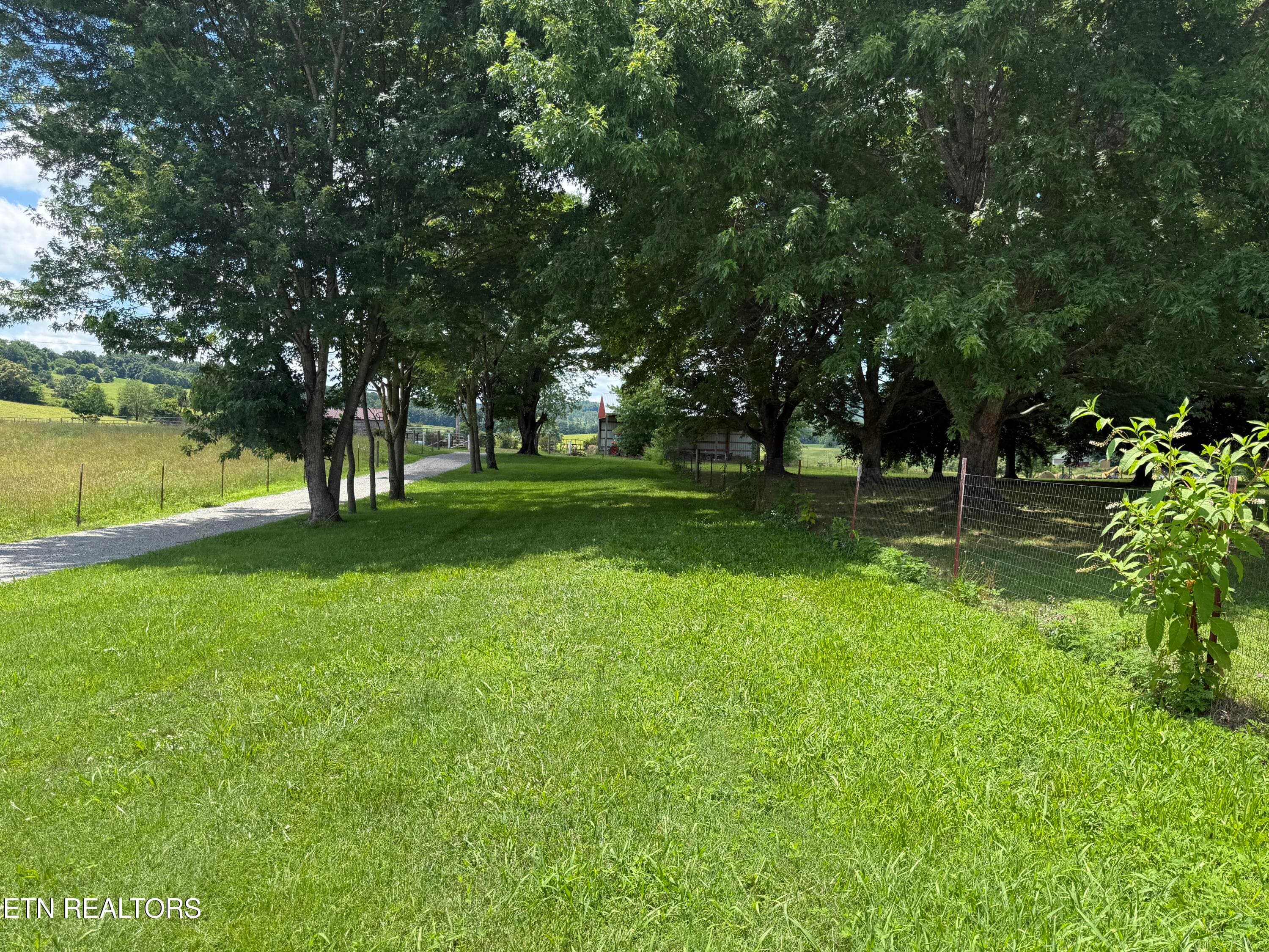 DW 7 - Dogwalk Rd, Alpine, TN 38543