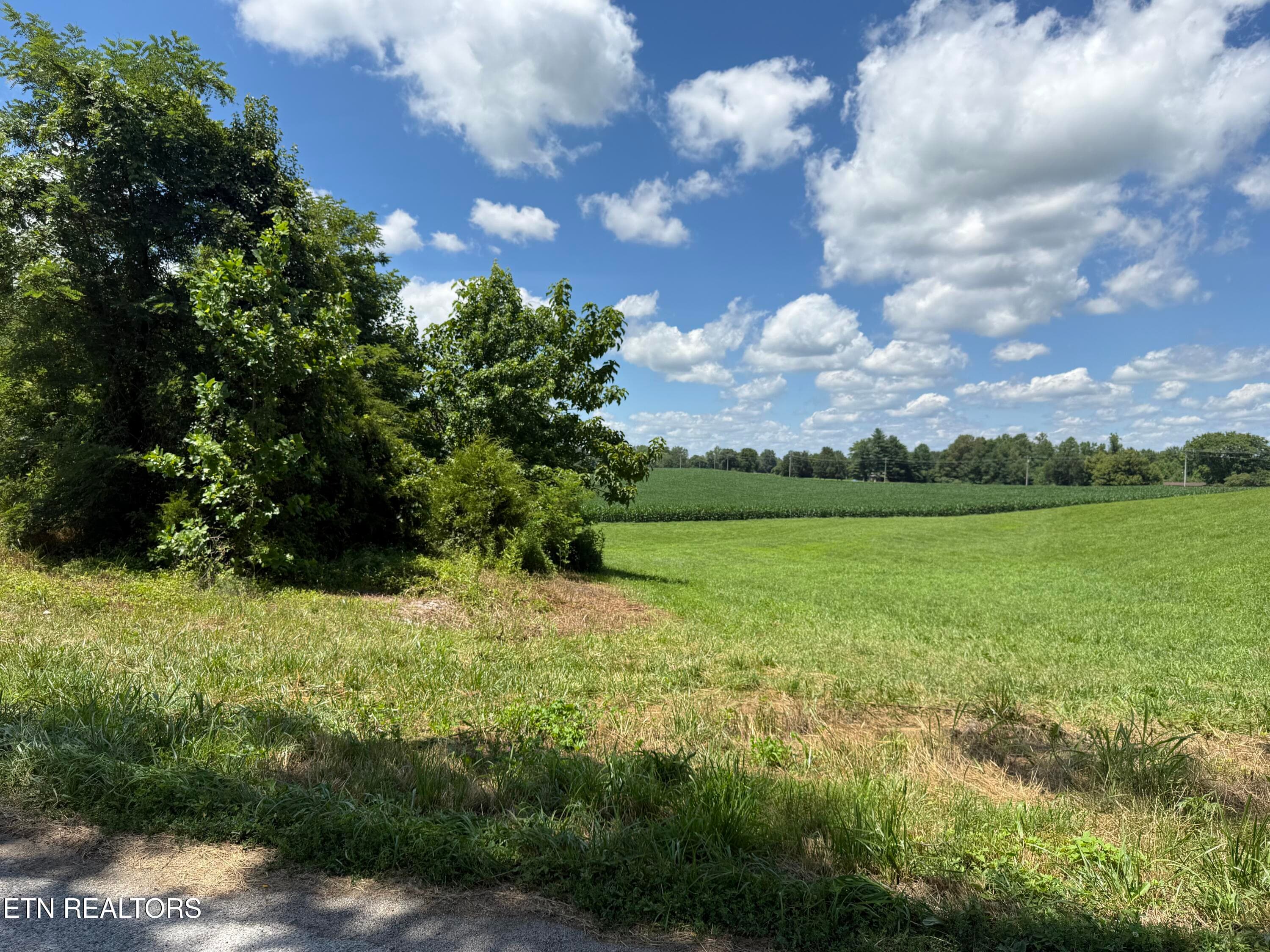 DW 14 - Dogwalk Rd, Alpine, TN 38543