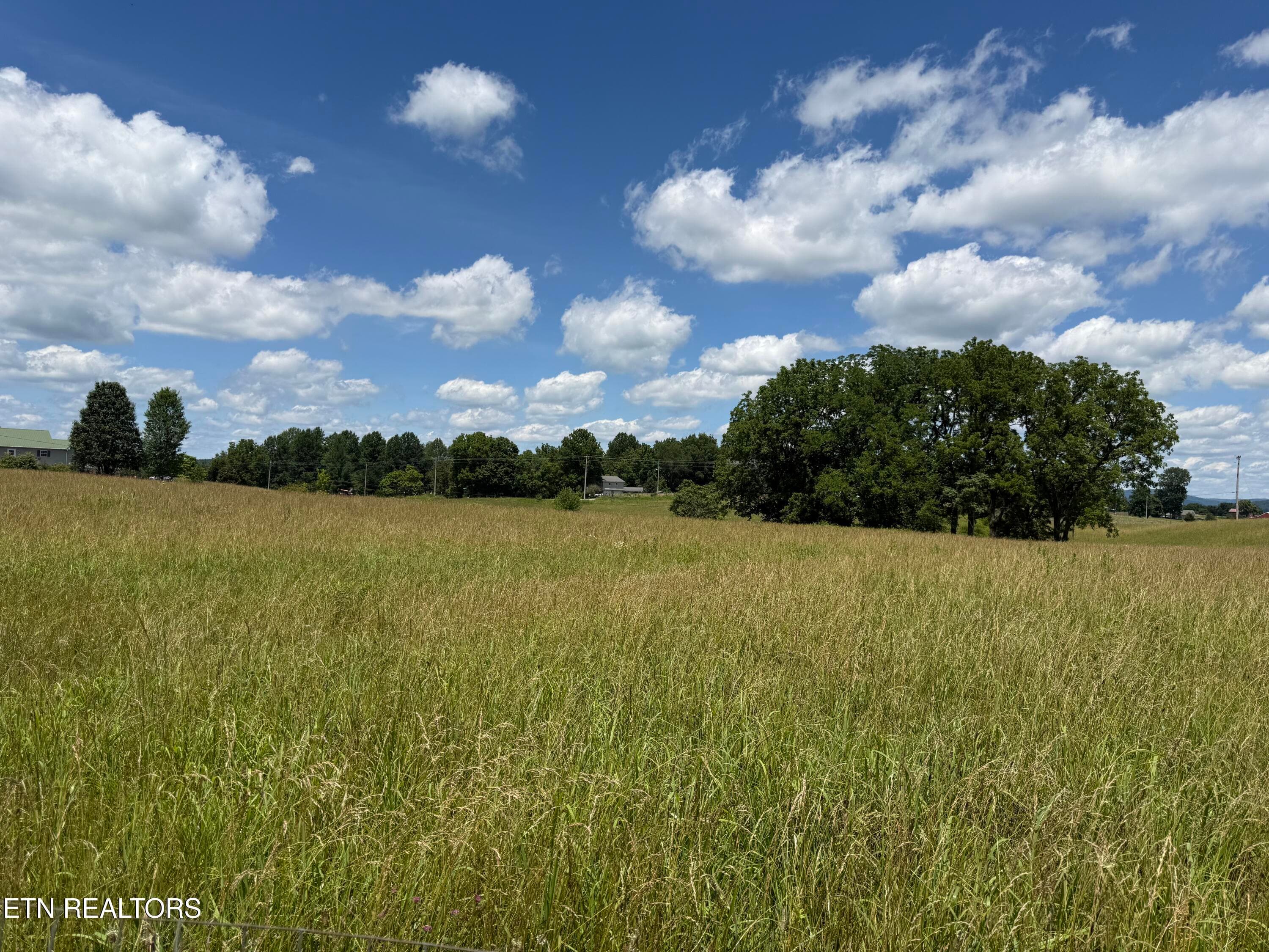 DW 12 - Dogwalk Rd, Alpine, TN 38543