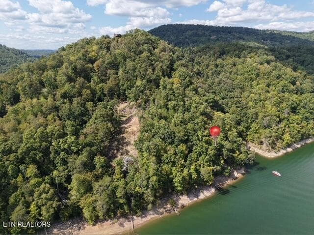 1429A9E1-19BD-42EE-8AC2-F2A19FE15786(1) - Lot 875 Clearwater Rd, New Tazewell, TN 37825