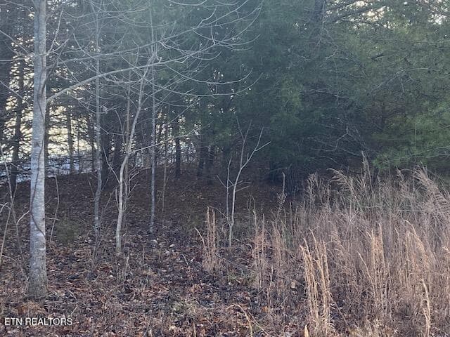 IMG_7590 - Lot 875 Clearwater Rd, New Tazewell, TN 37825