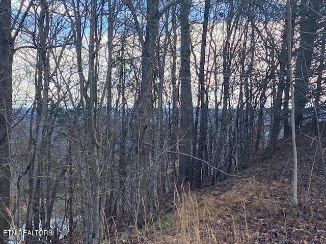 IMG_7591 - Lot 875 Clearwater Rd, New Tazewell, TN 37825