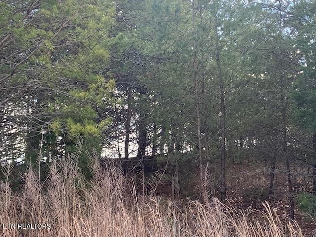 IMG_7593 - Lot 875 Clearwater Rd, New Tazewell, TN 37825