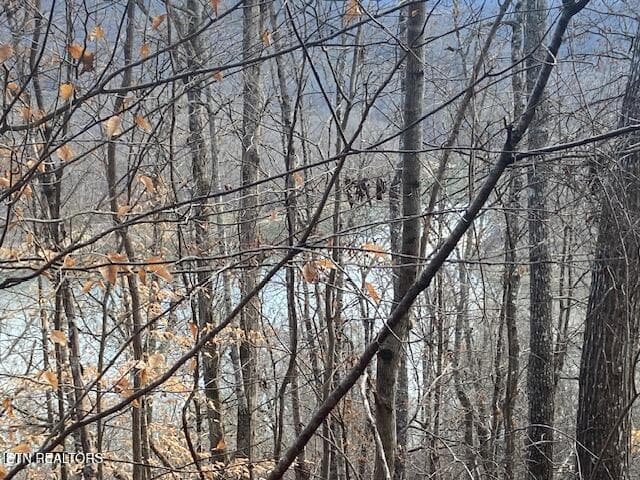 IMG_7594 - Lot 875 Clearwater Rd, New Tazewell, TN 37825