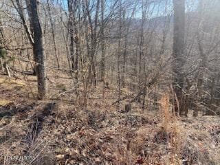 Property 1 - Lot 875 Clearwater Rd, New Tazewell, TN 37825