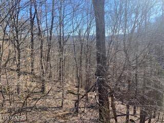 Property 3 - Lot 875 Clearwater Rd, New Tazewell, TN 37825