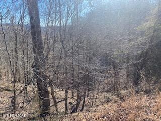 Property 4 - Lot 875 Clearwater Rd, New Tazewell, TN 37825