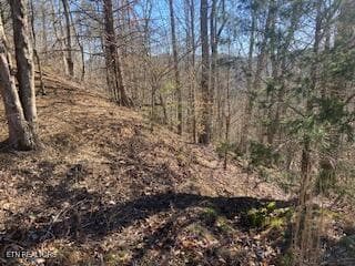 Property 6 - Lot 875 Clearwater Rd, New Tazewell, TN 37825