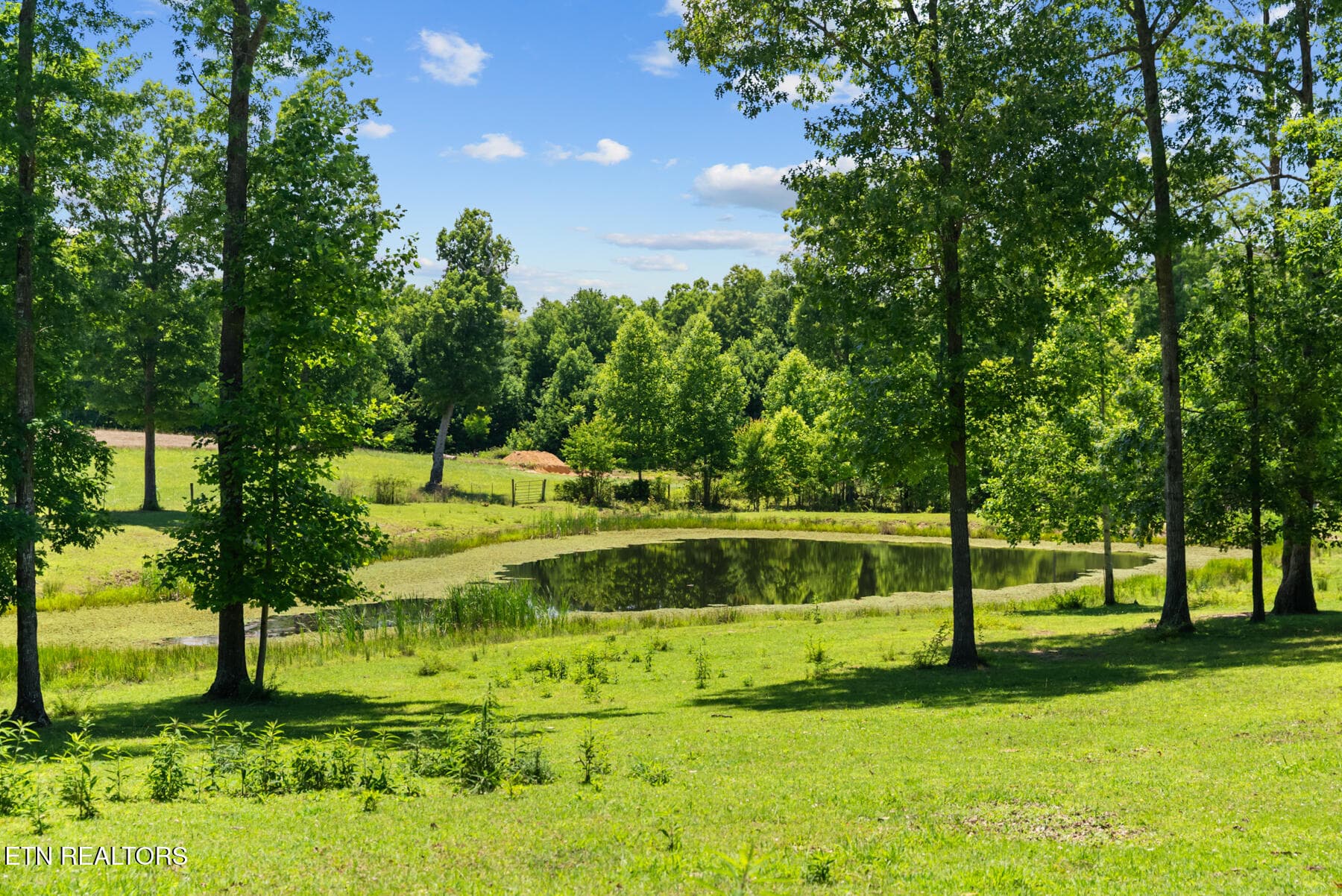 DSC03178 - 5171 Wilder 9ac Rd, Grimsley, TN 38565