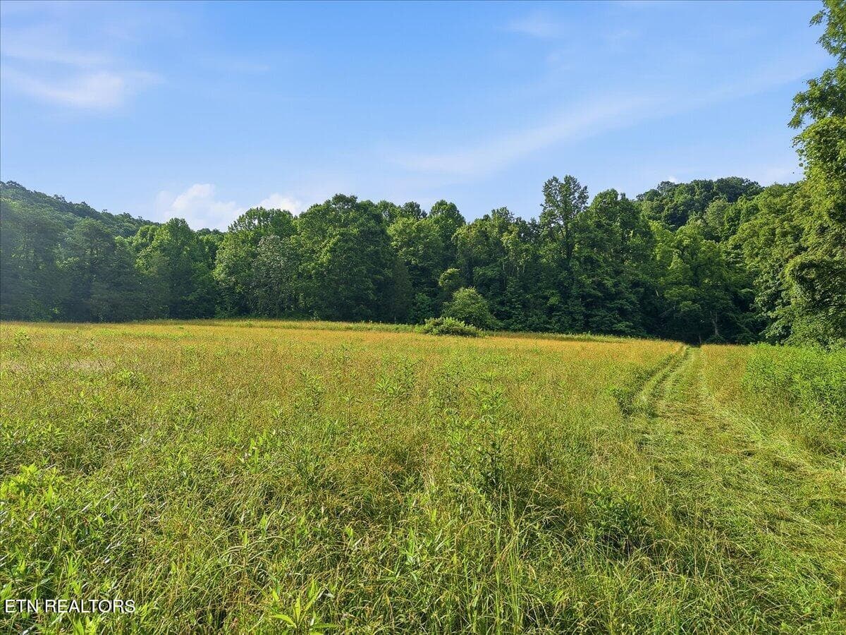 009-3503_Hwy_70_North_Drone_002 - 3503 Highway 70 N, Eidson, TN 37731