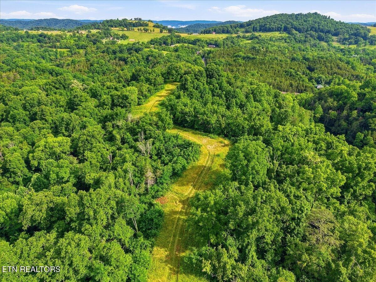 010-3503_Hwy_70_North_Drone_003 - 3503 Highway 70 N, Eidson, TN 37731
