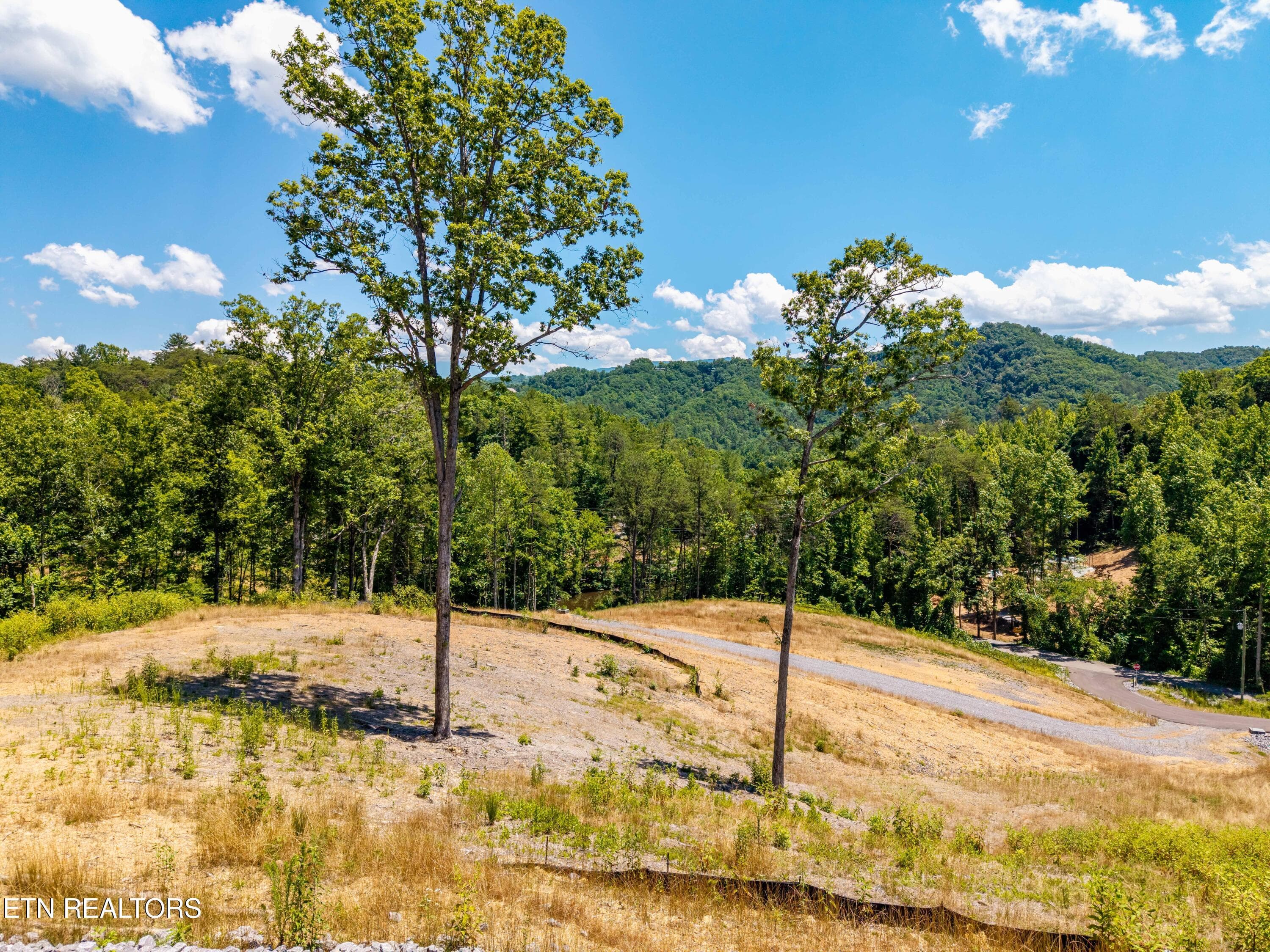 WaldensCreekRd-43 - Waldens Creek Rd, Sevierville, TN 37862