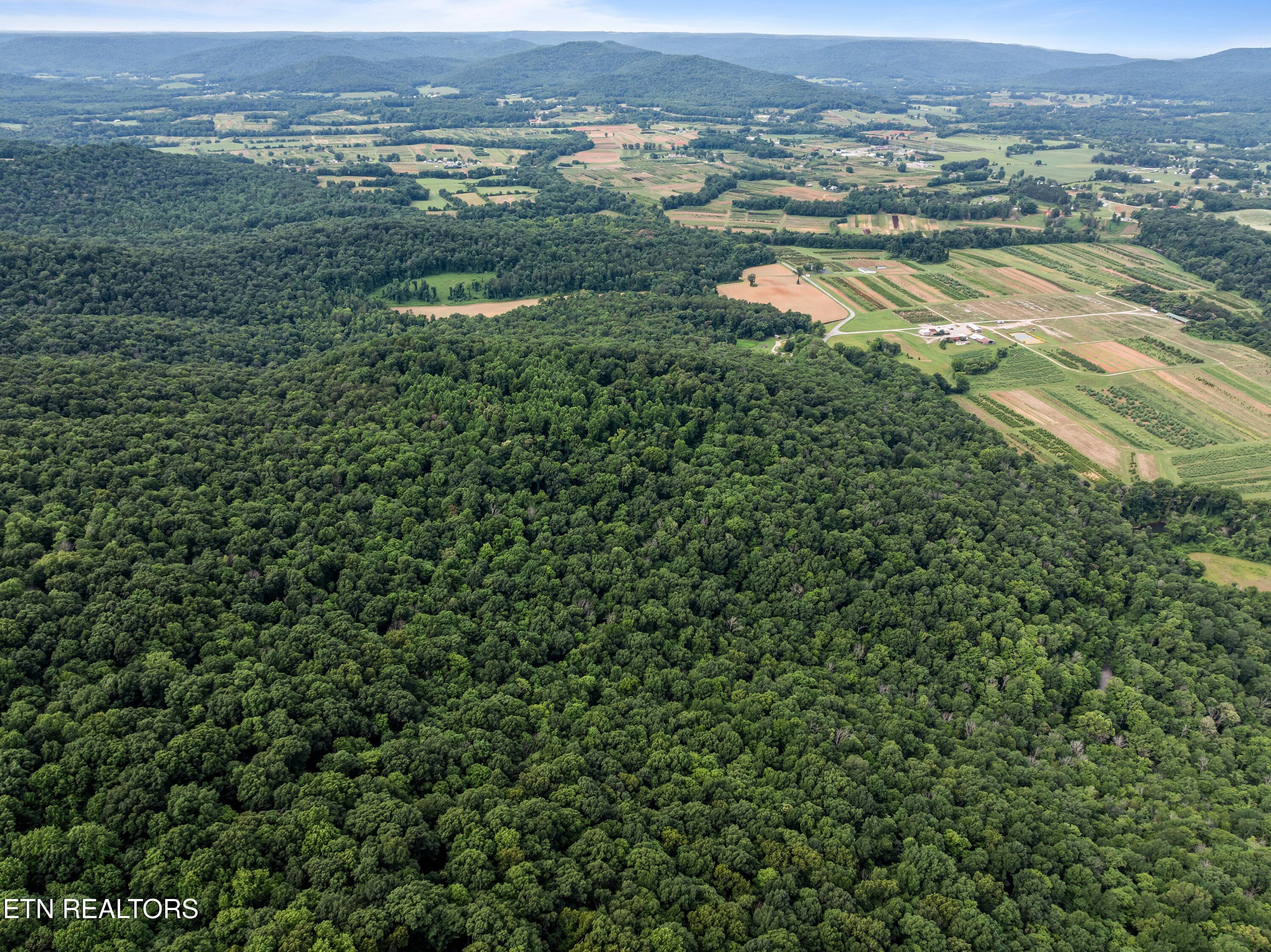 McMinnville_008 - TBD Turners Bend Rd, McMinnville, TN 37110