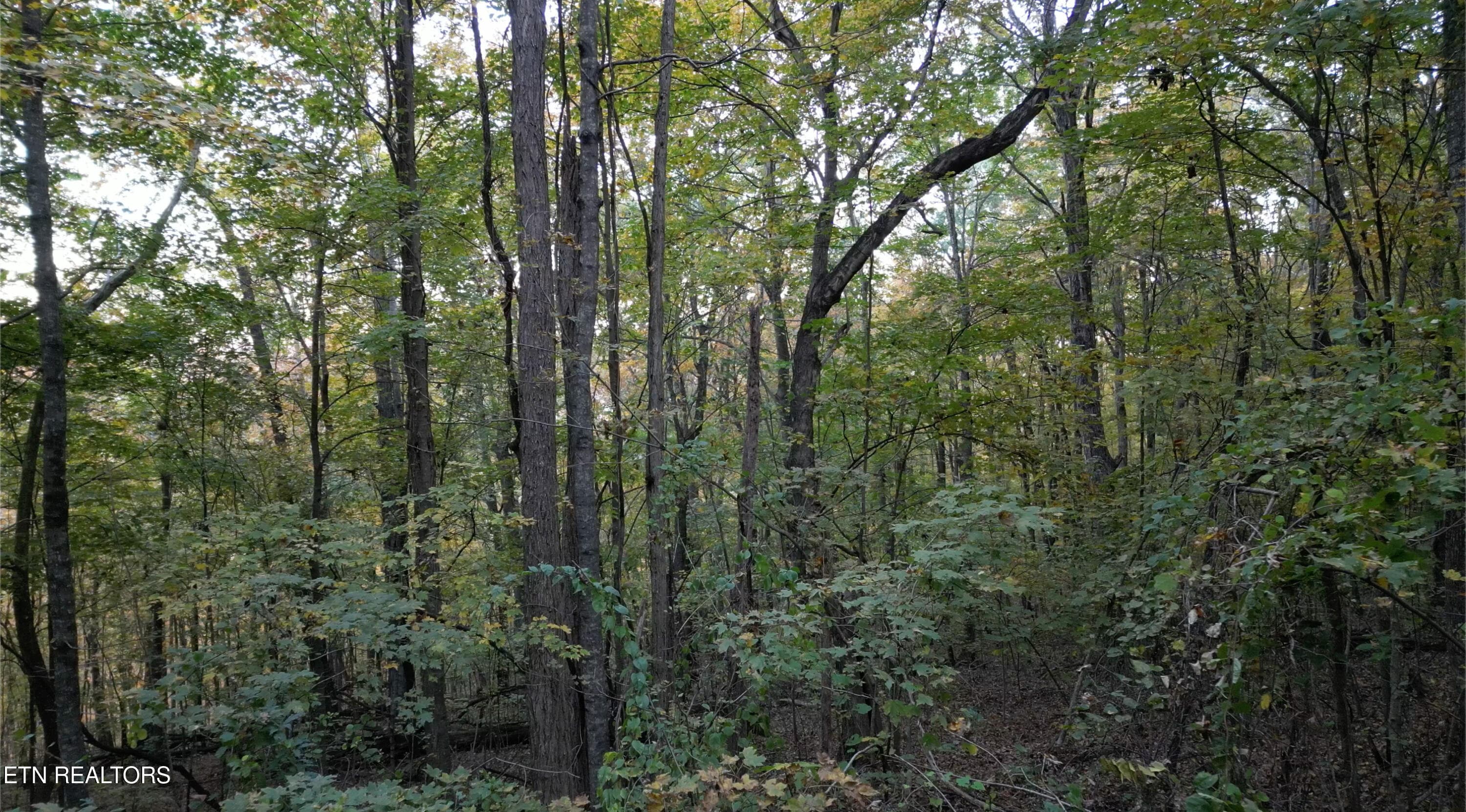 Drone Pic 1 - TBD Turners Bend Rd, McMinnville, TN 37110