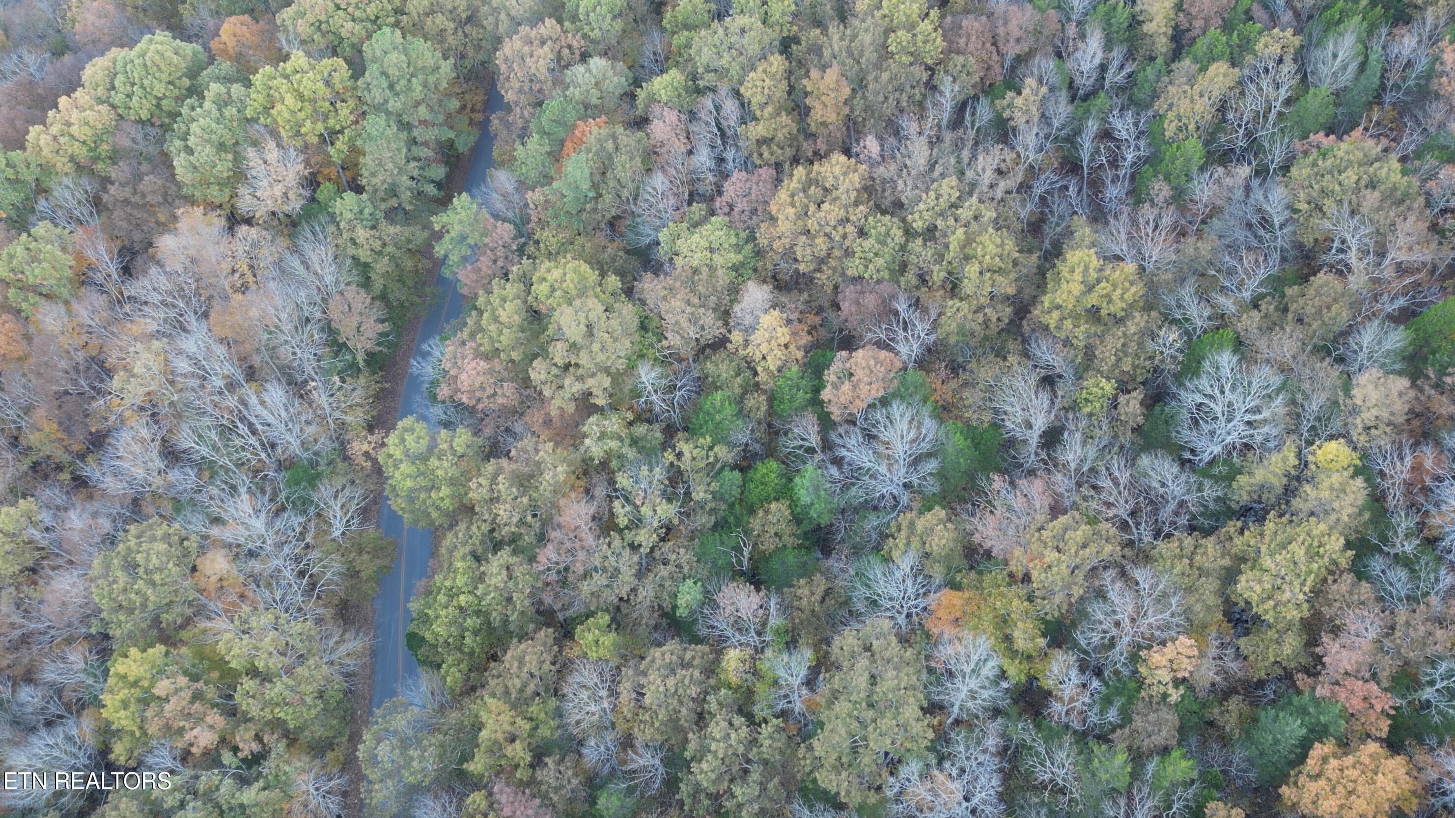 Drone Pic 12 - TBD Turners Bend Rd, McMinnville, TN 37110