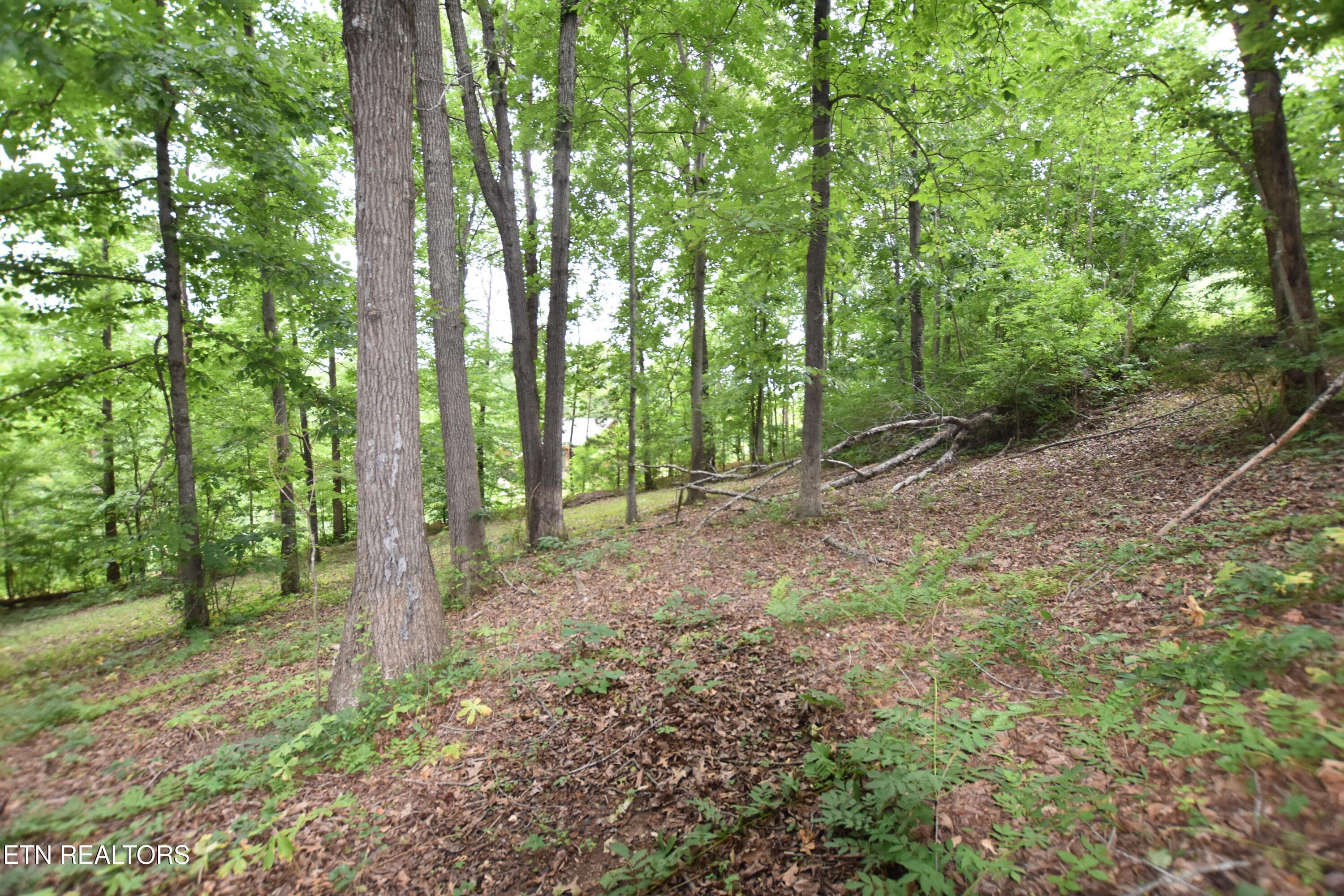 DSC_0066 - Grove Lane, Clinton, TN 37716