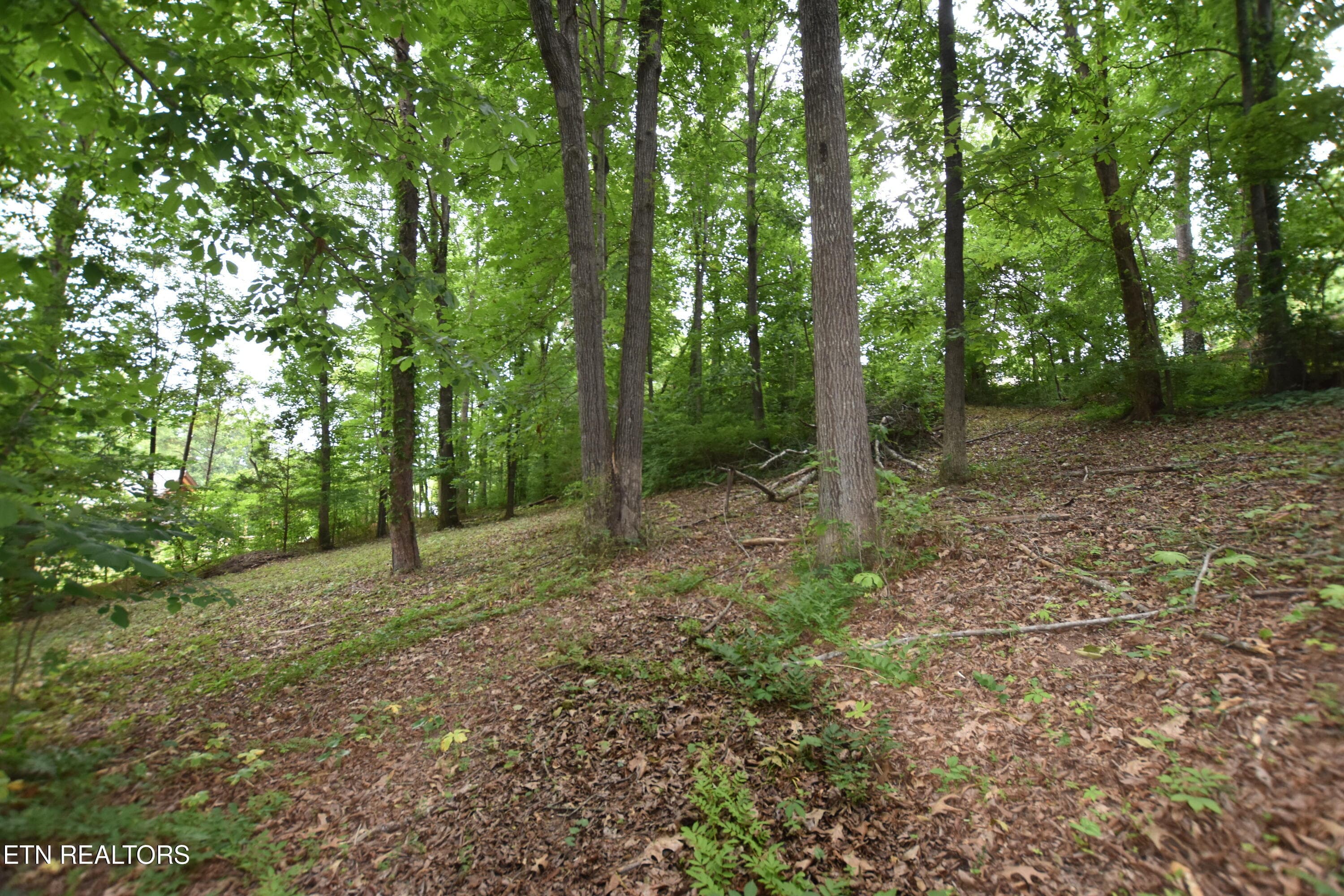 DSC_0067 - Grove Lane, Clinton, TN 37716
