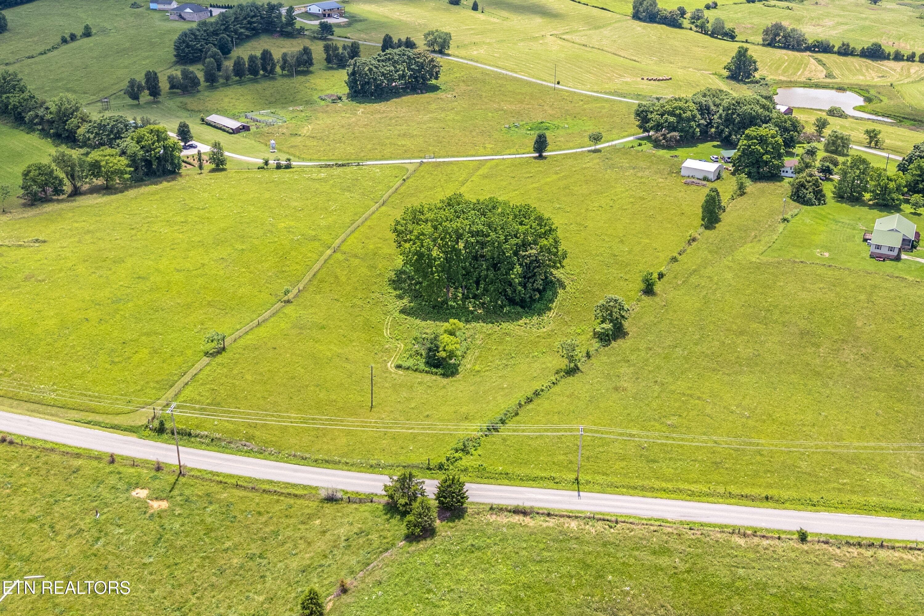 CL 10 - Dogwalk Rd, Alpine, TN 38543