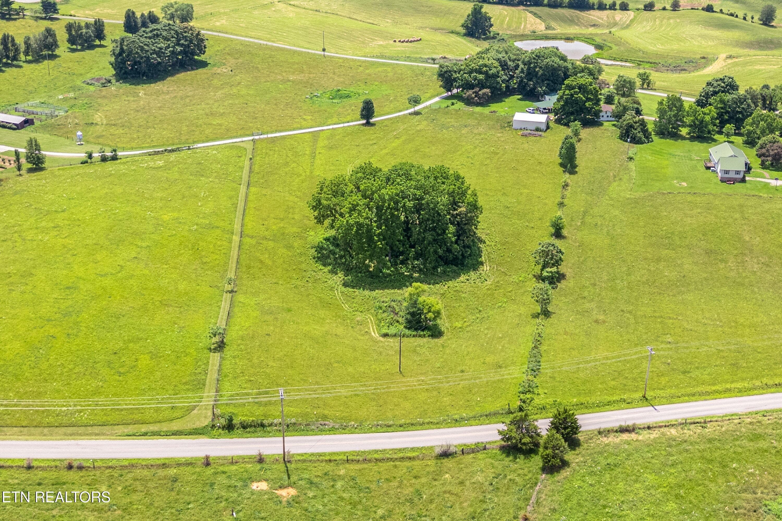 CL 12 - Dogwalk Rd, Alpine, TN 38543