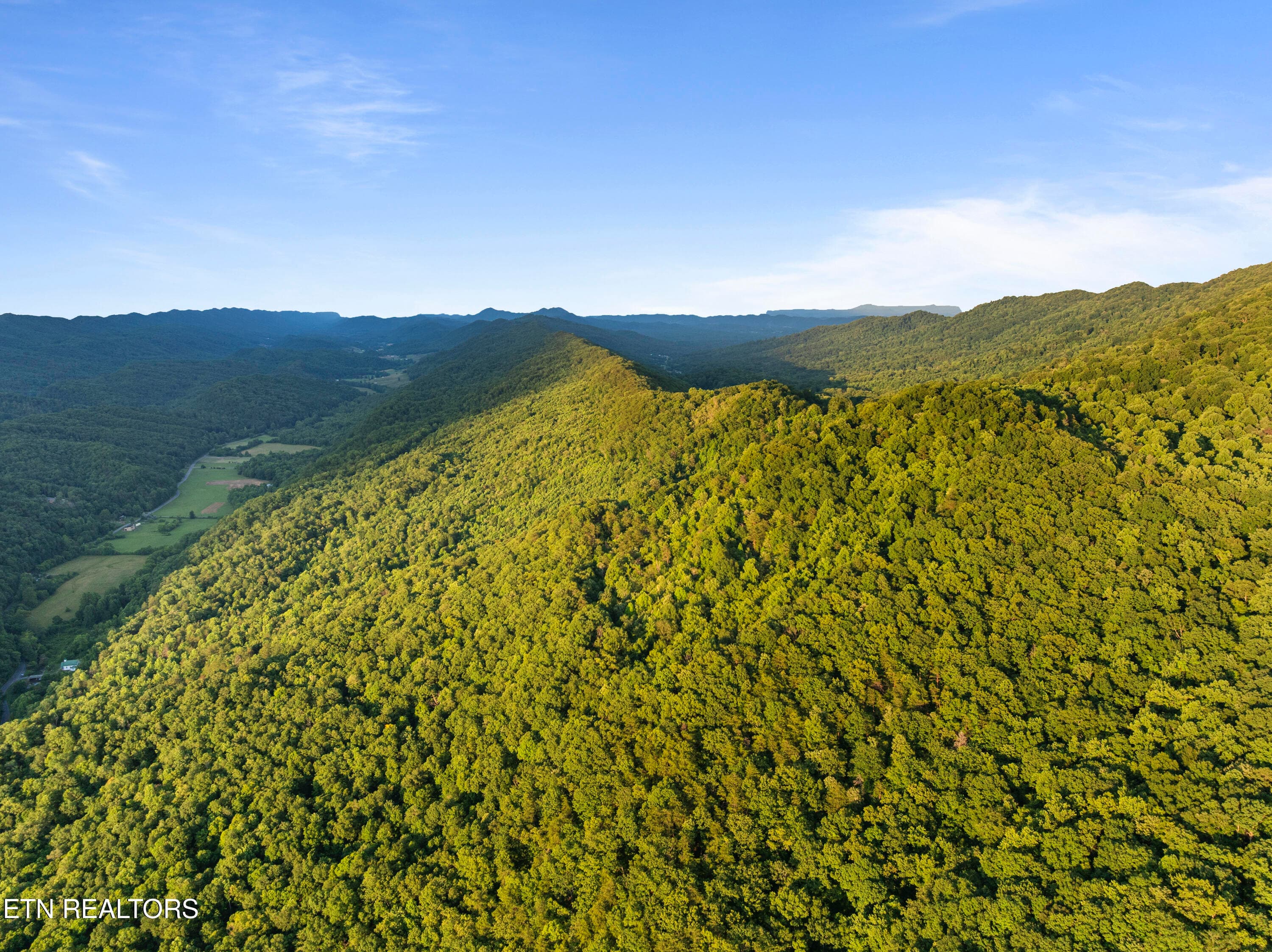 Spruce Pine (330 Acres) Rd, Mooresburg, TN 37811