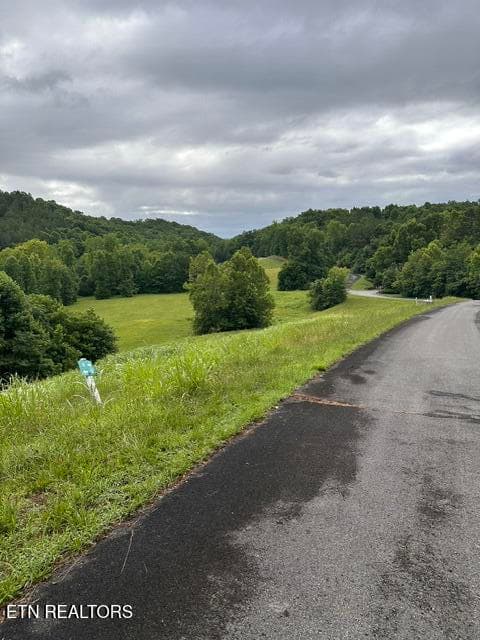 IMG_7521 - Mill Drive, Decatur, TN 37322