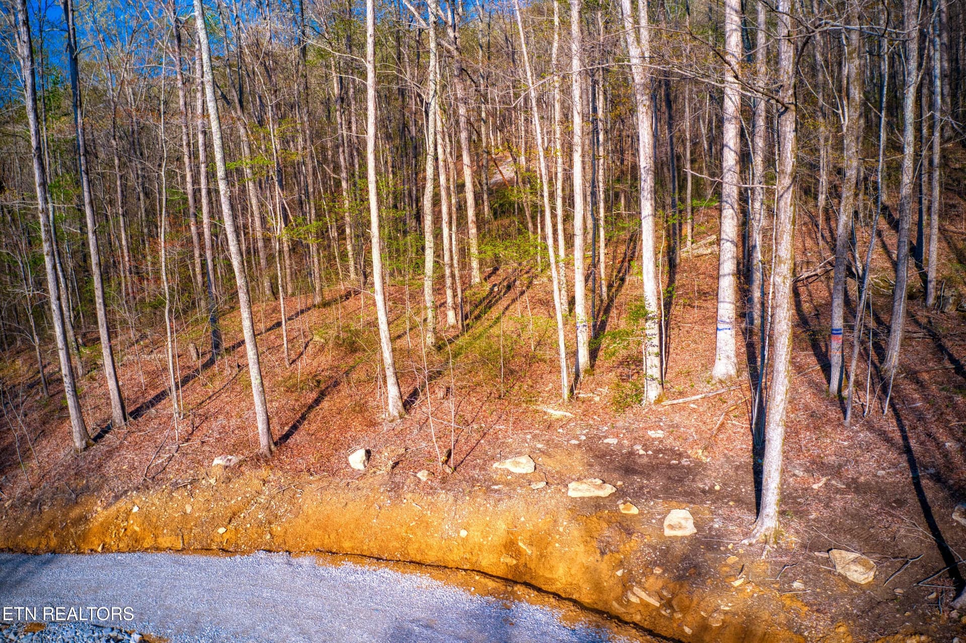 DJI_0491 - 317 Cheyenne Drive, Jamestown, TN 38556