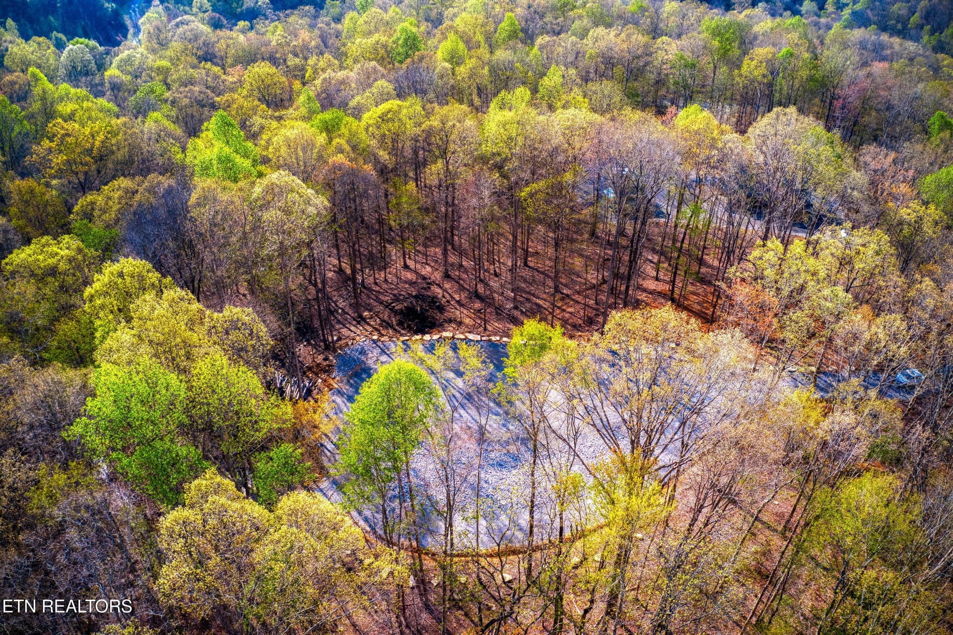 DJI_0516 - 317 Cheyenne Drive, Jamestown, TN 38556
