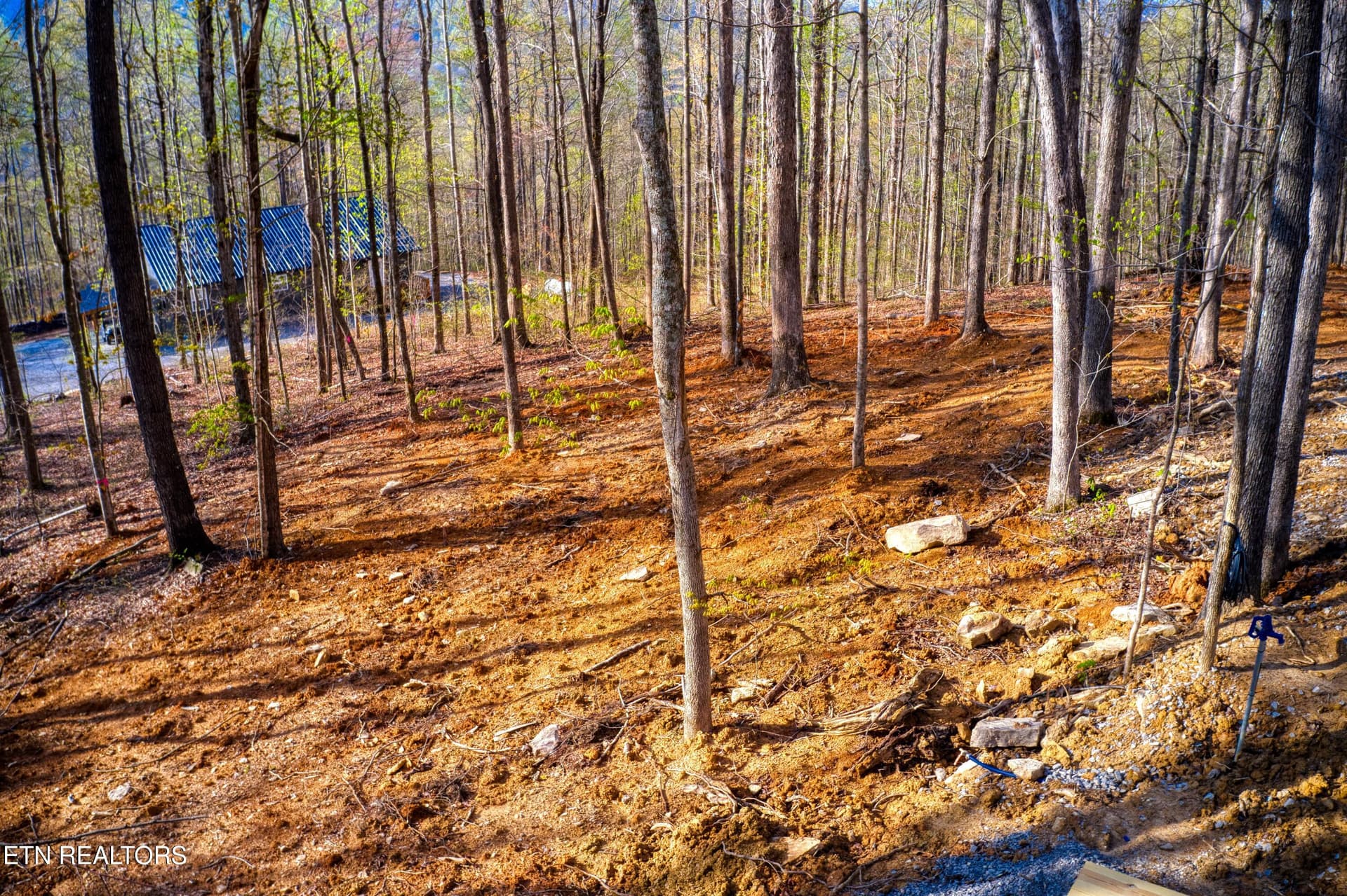 DJI_0551 - 317 Cheyenne Drive, Jamestown, TN 38556