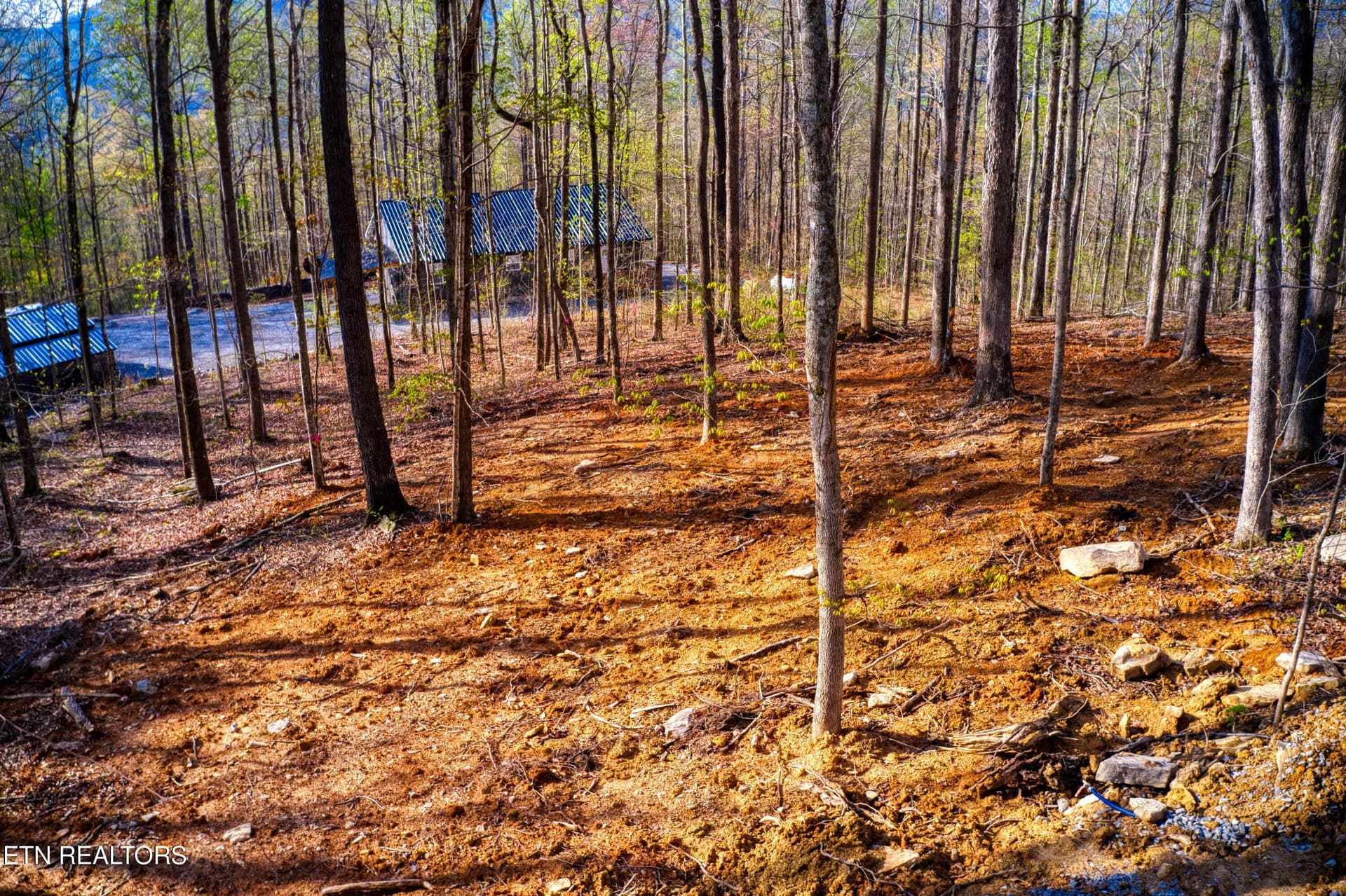 DJI_0556 - 317 Cheyenne Drive, Jamestown, TN 38556