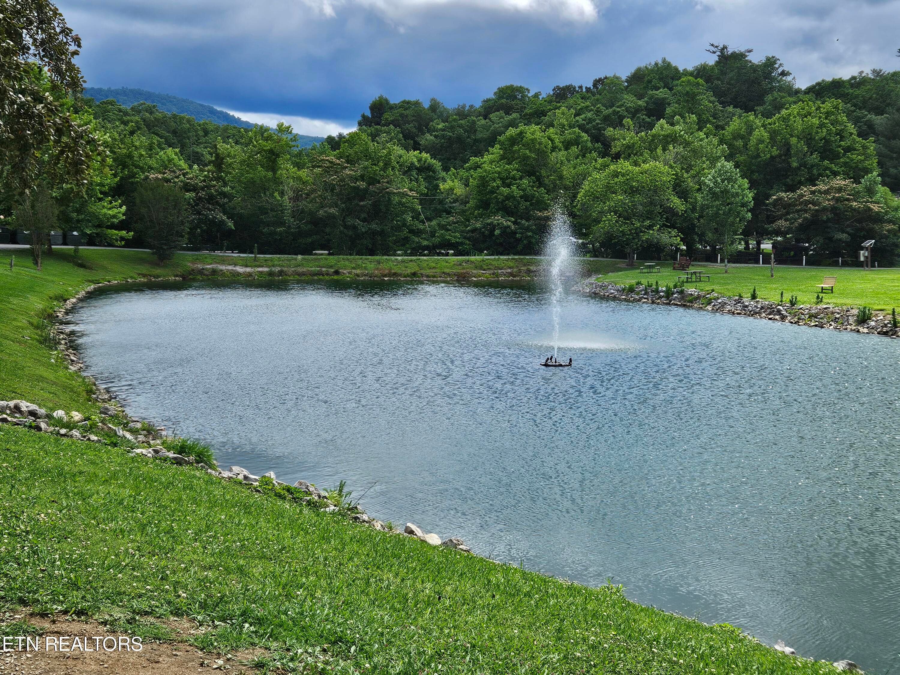 20260623_155621 - 417 Mountain Thrush Drive, Townsend, TN 37882