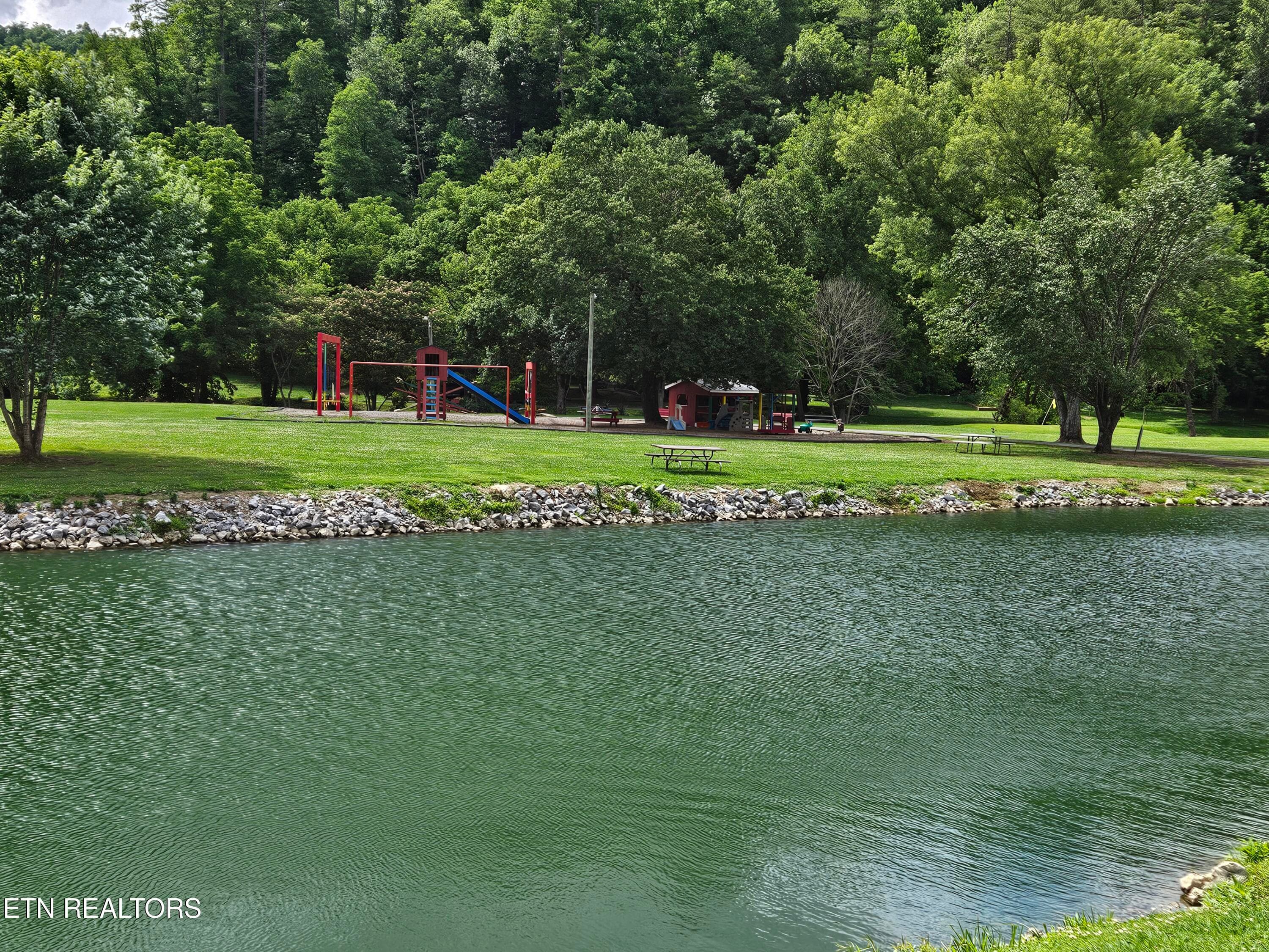 20260623_155625 - 417 Mountain Thrush Drive, Townsend, TN 37882