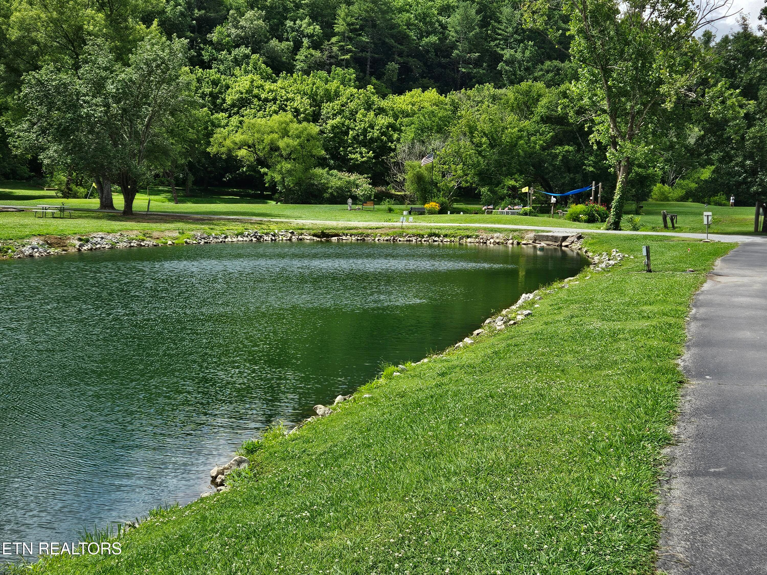 20260623_155631 - 417 Mountain Thrush Drive, Townsend, TN 37882