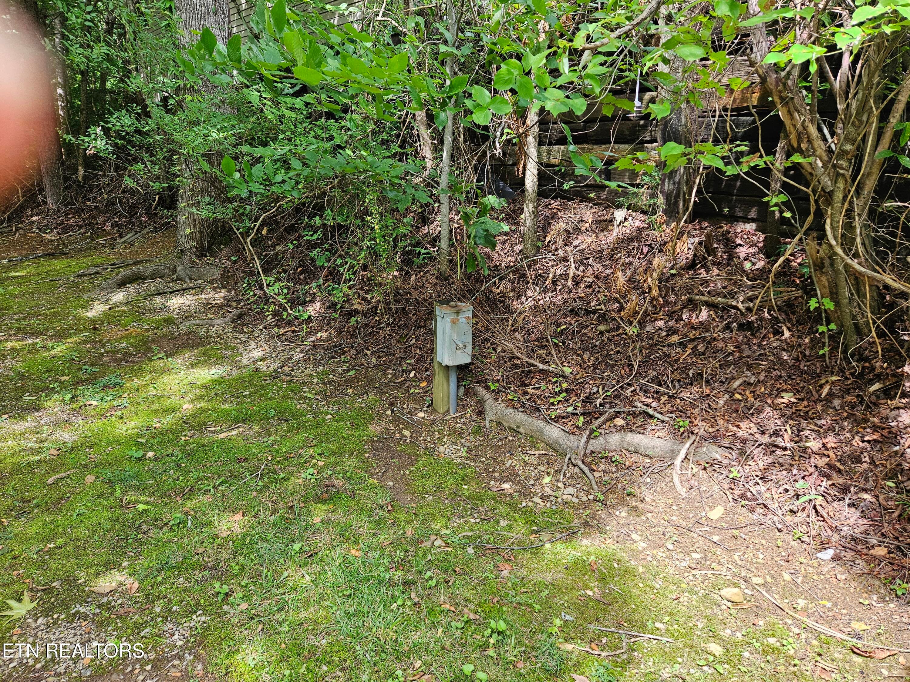 20260623_155844 - 417 Mountain Thrush Drive, Townsend, TN 37882