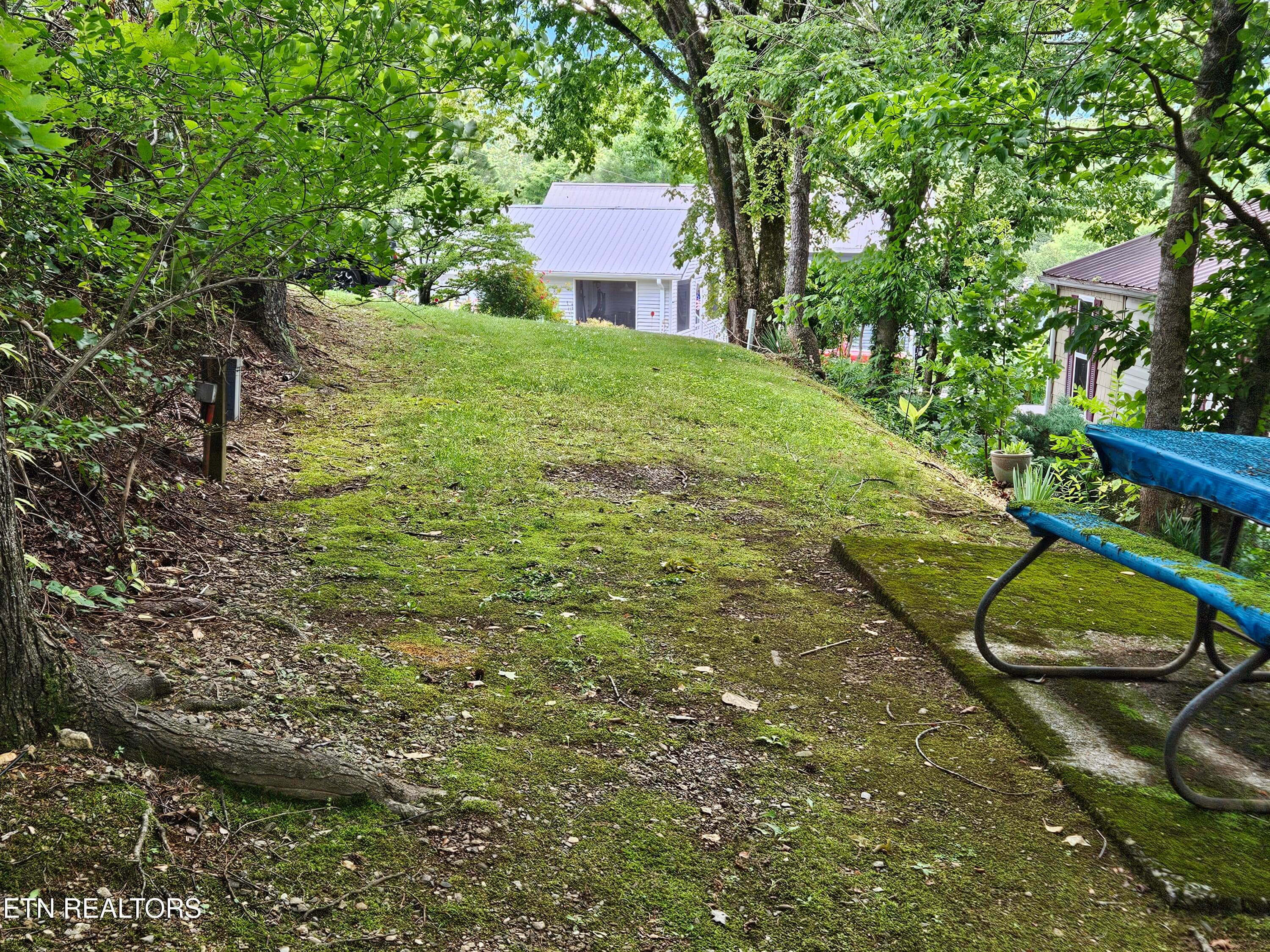 20260623_155916 - 417 Mountain Thrush Drive, Townsend, TN 37882