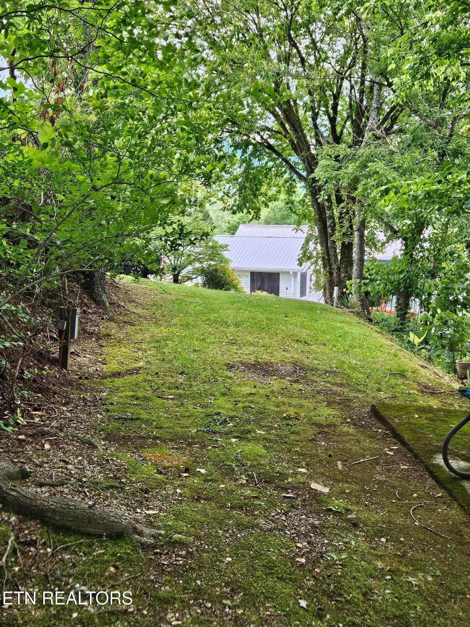 20260623_155921 - 417 Mountain Thrush Drive, Townsend, TN 37882