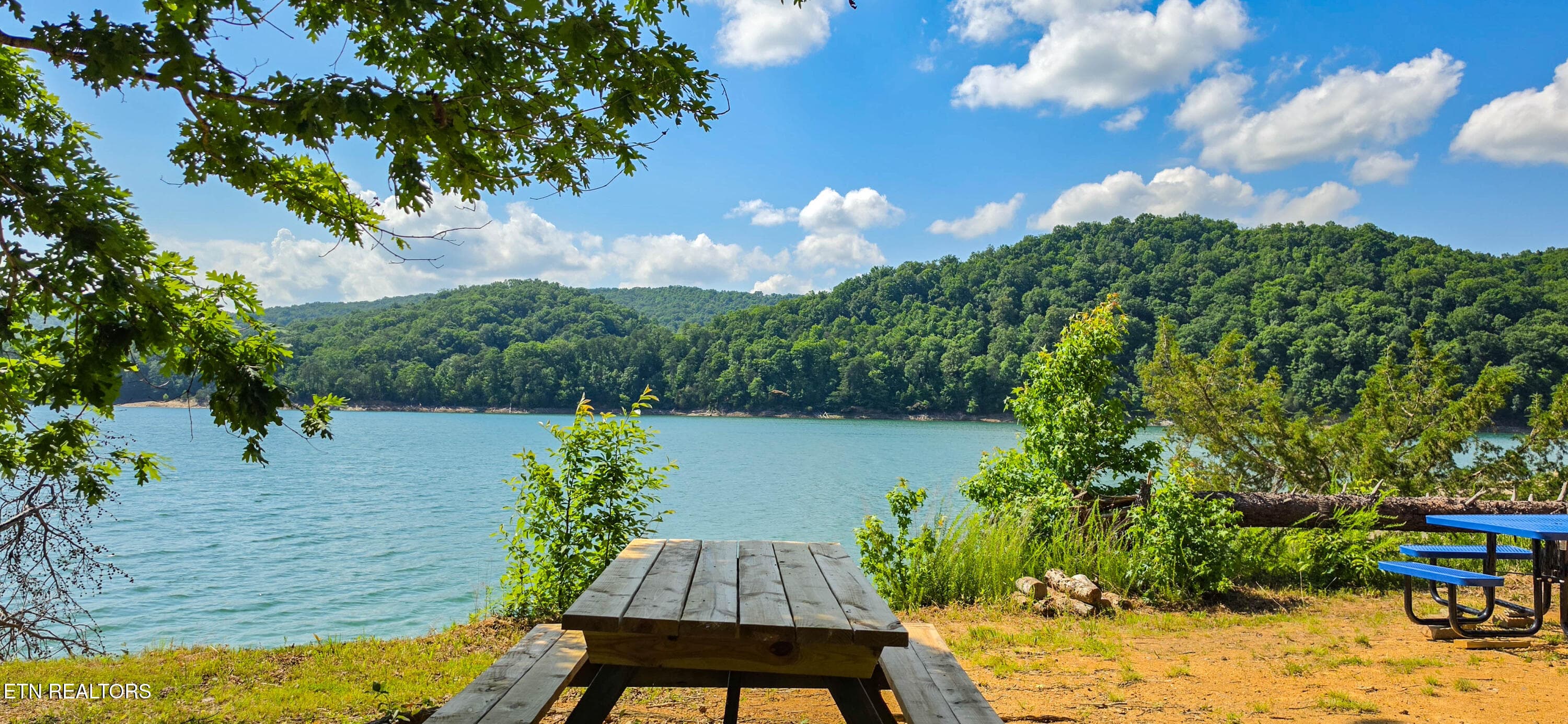 n panoramic lake2 - 364 Panoramic Drive, Maynardville, TN 37807
