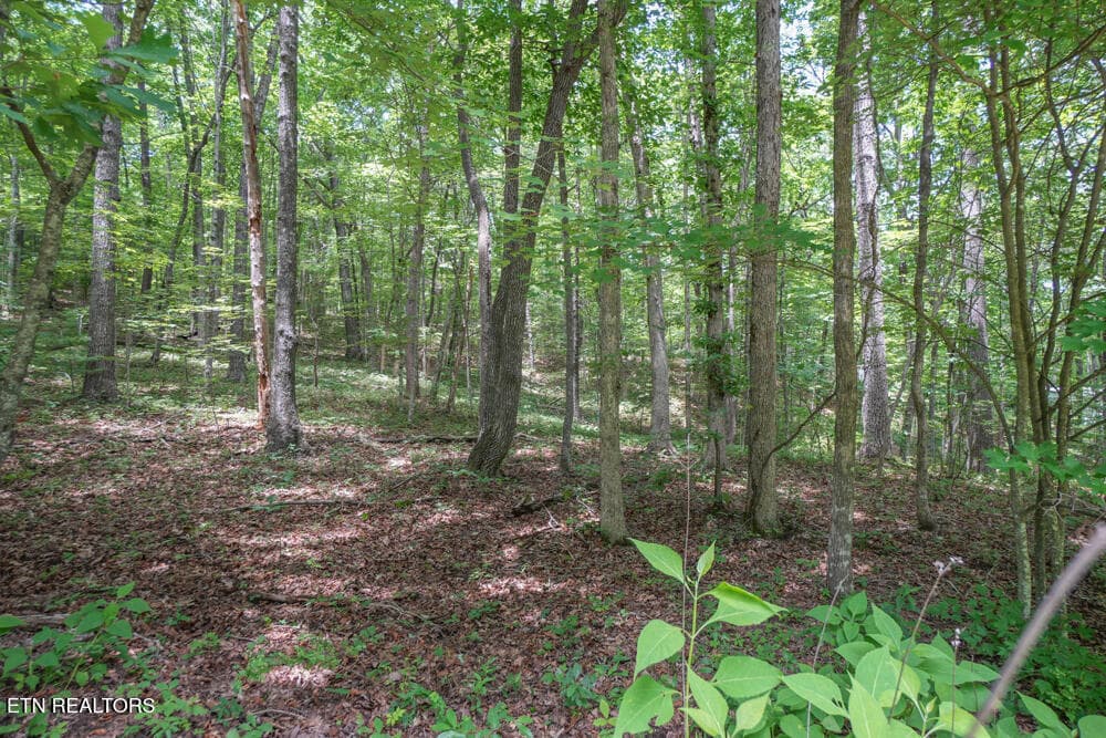 DSC00712 - S Peterson Rd, Tallassee, TN 37878