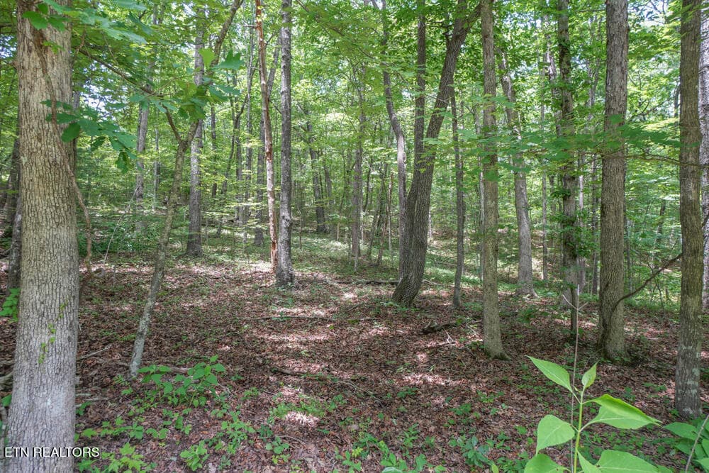 DSC00713 - S Peterson Rd, Tallassee, TN 37878