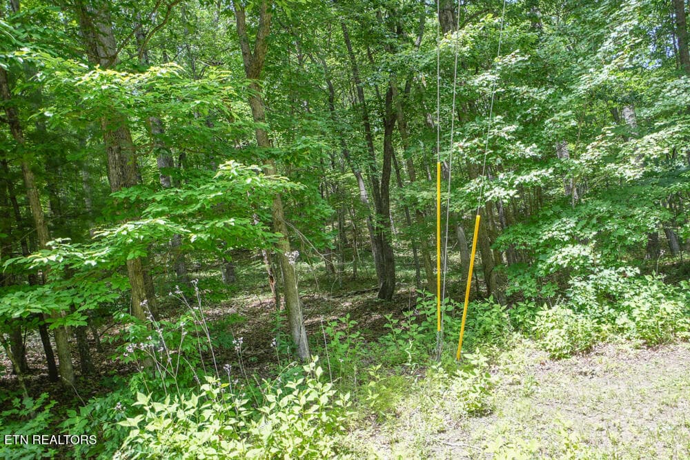 DSC00714 - S Peterson Rd, Tallassee, TN 37878
