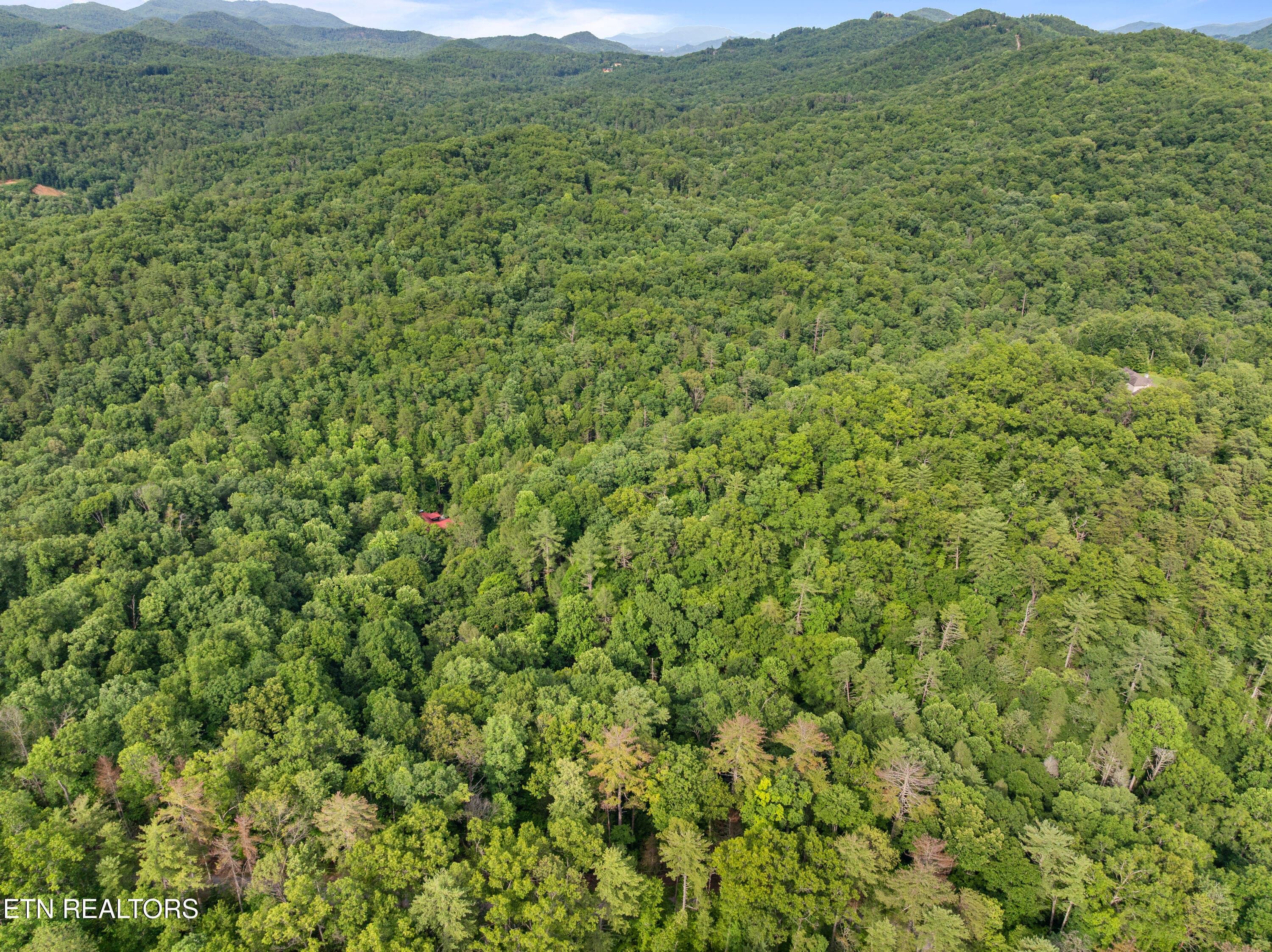 Walland005 - TBD Grouse Top (lot 4) Rd, Walland, TN 37886