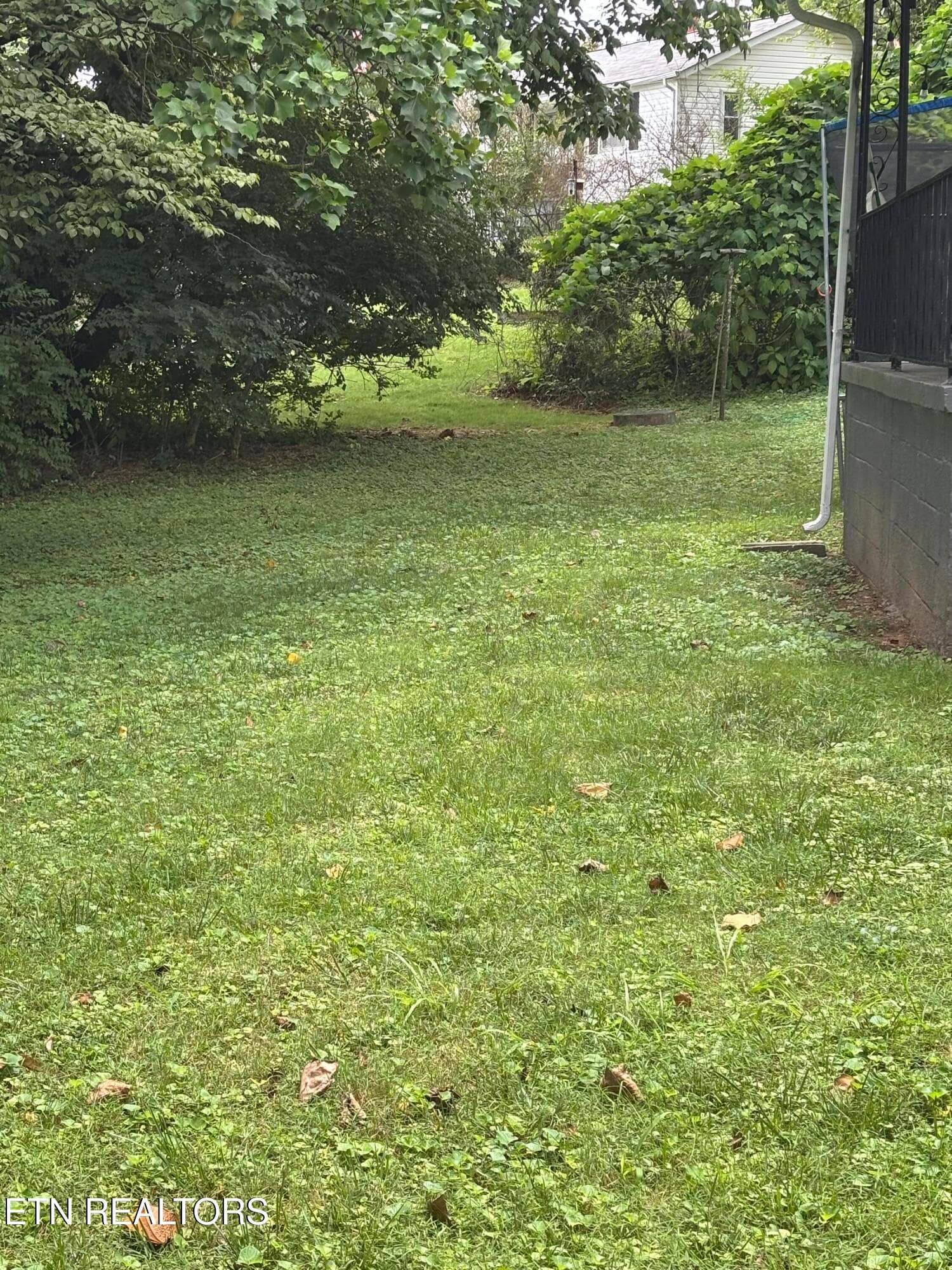 Level back yard - 107 Porter Rd, Oak Ridge, TN 37830